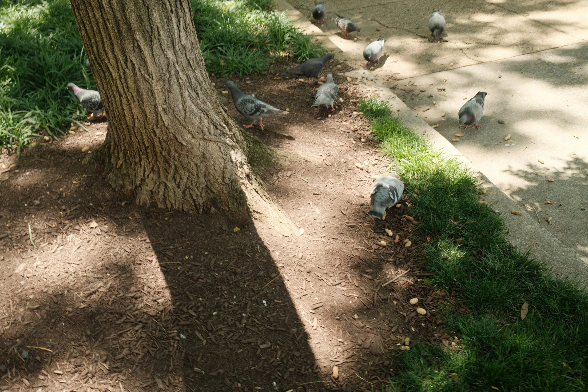 DSCF6356.JPG