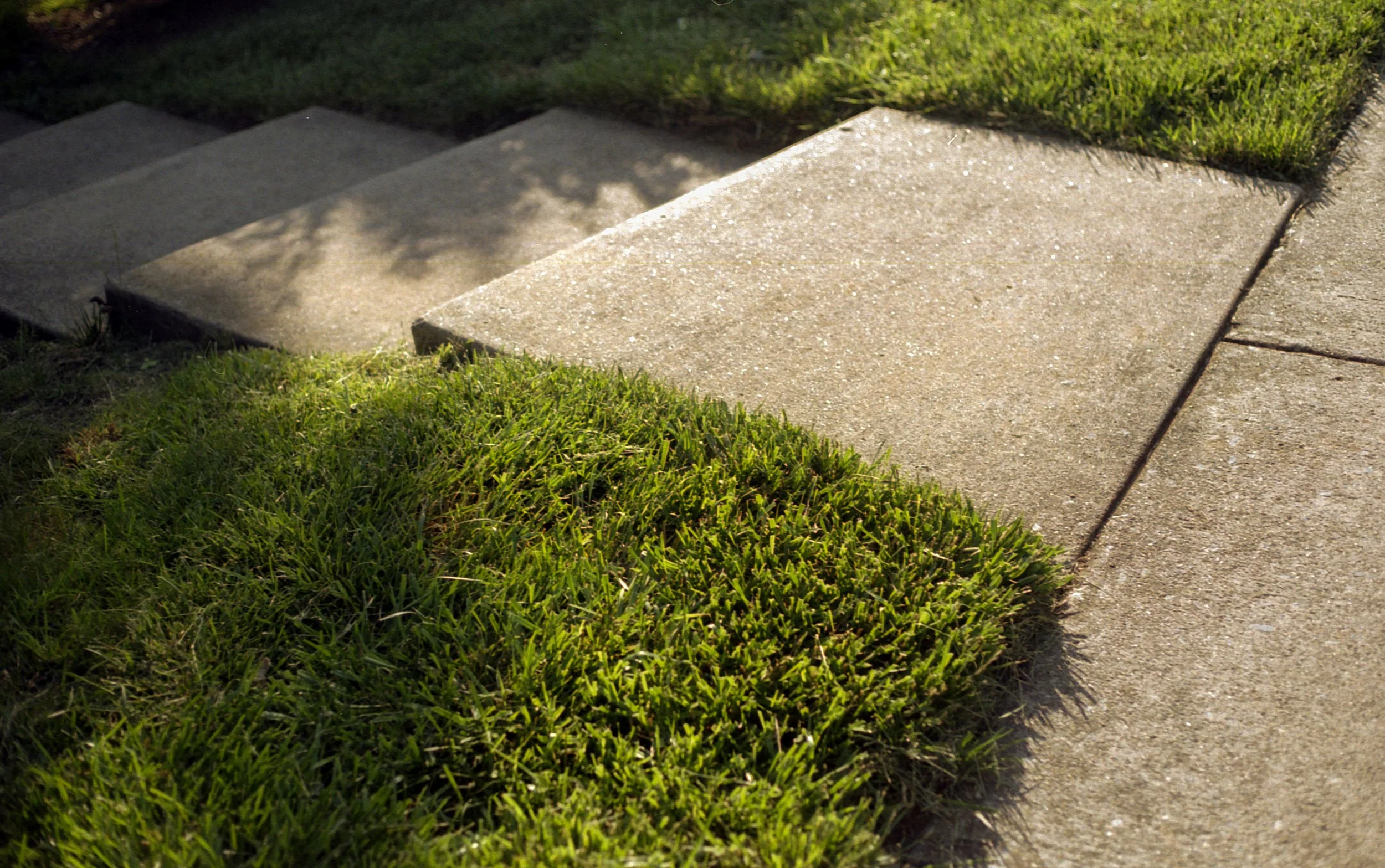 Close-up of concrete sidewalk slabs and a patch of well-maintained green grass outdoors.
