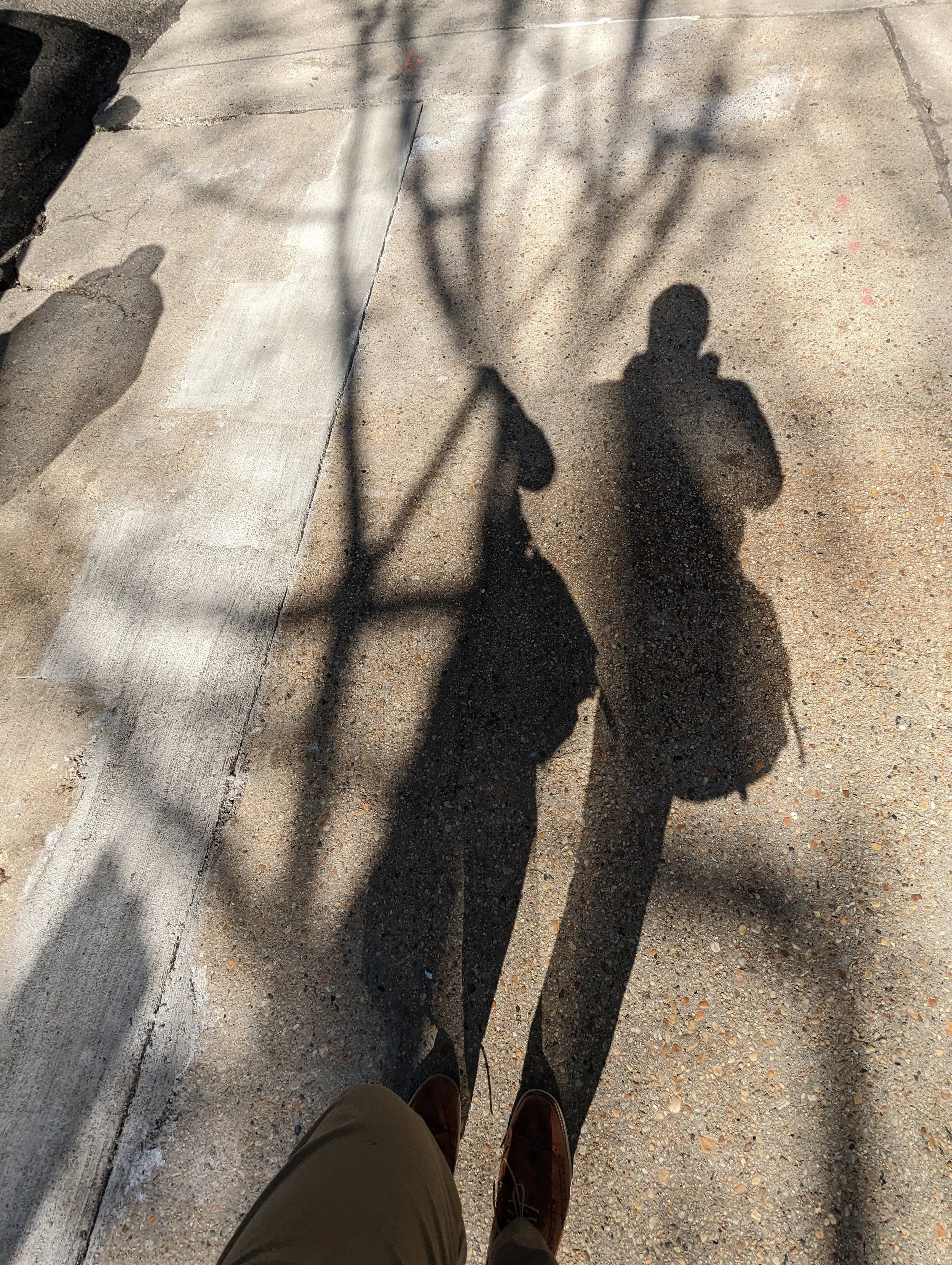 Shadows of two people walking on a sidewalk, one holding a leash attached to a small dog, with a tree's shadow also cast on the ground.