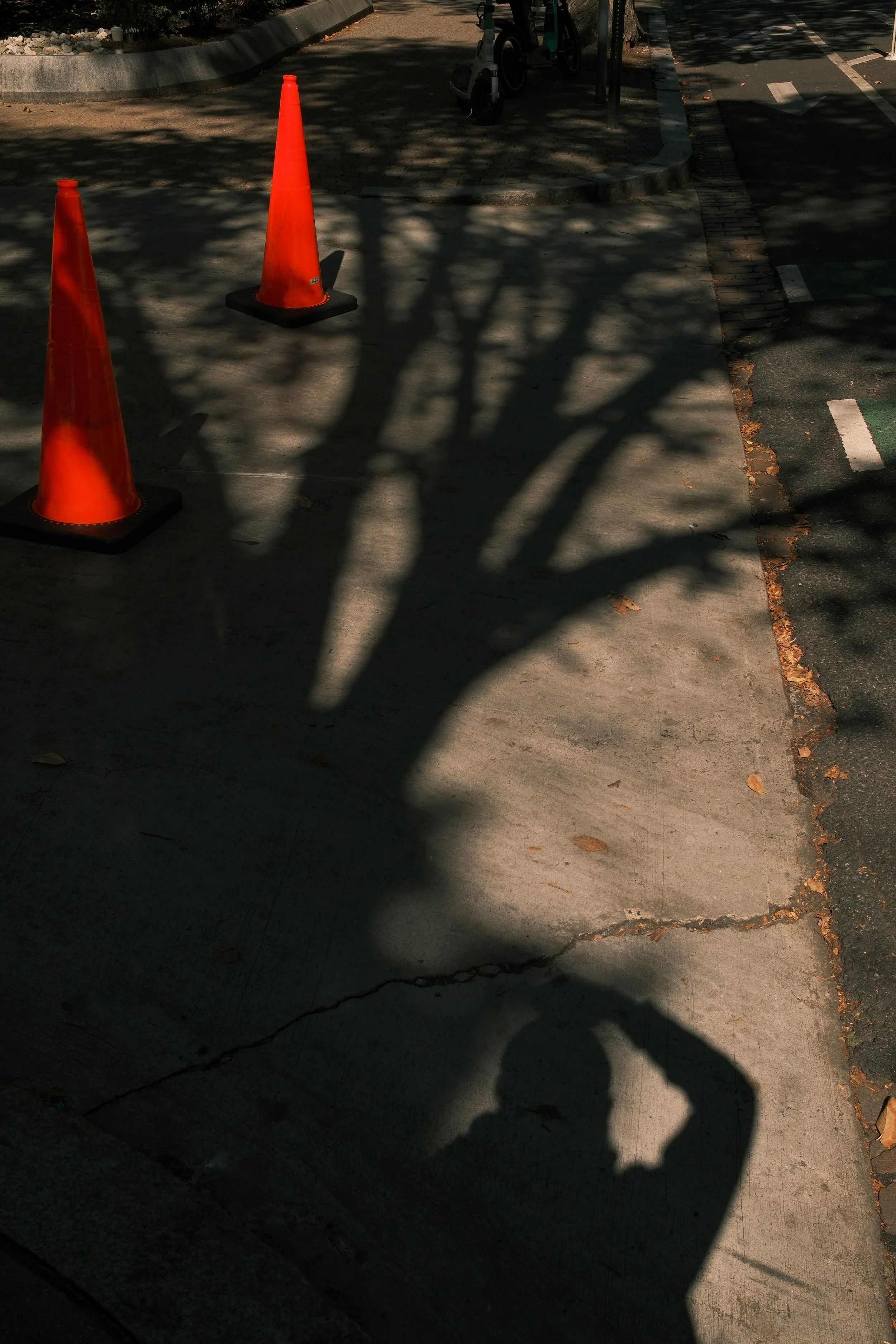 Shadow of a person taking a photo, two orange traffic cones, and bicycle on sidewalk with trees overhead casting shadows.