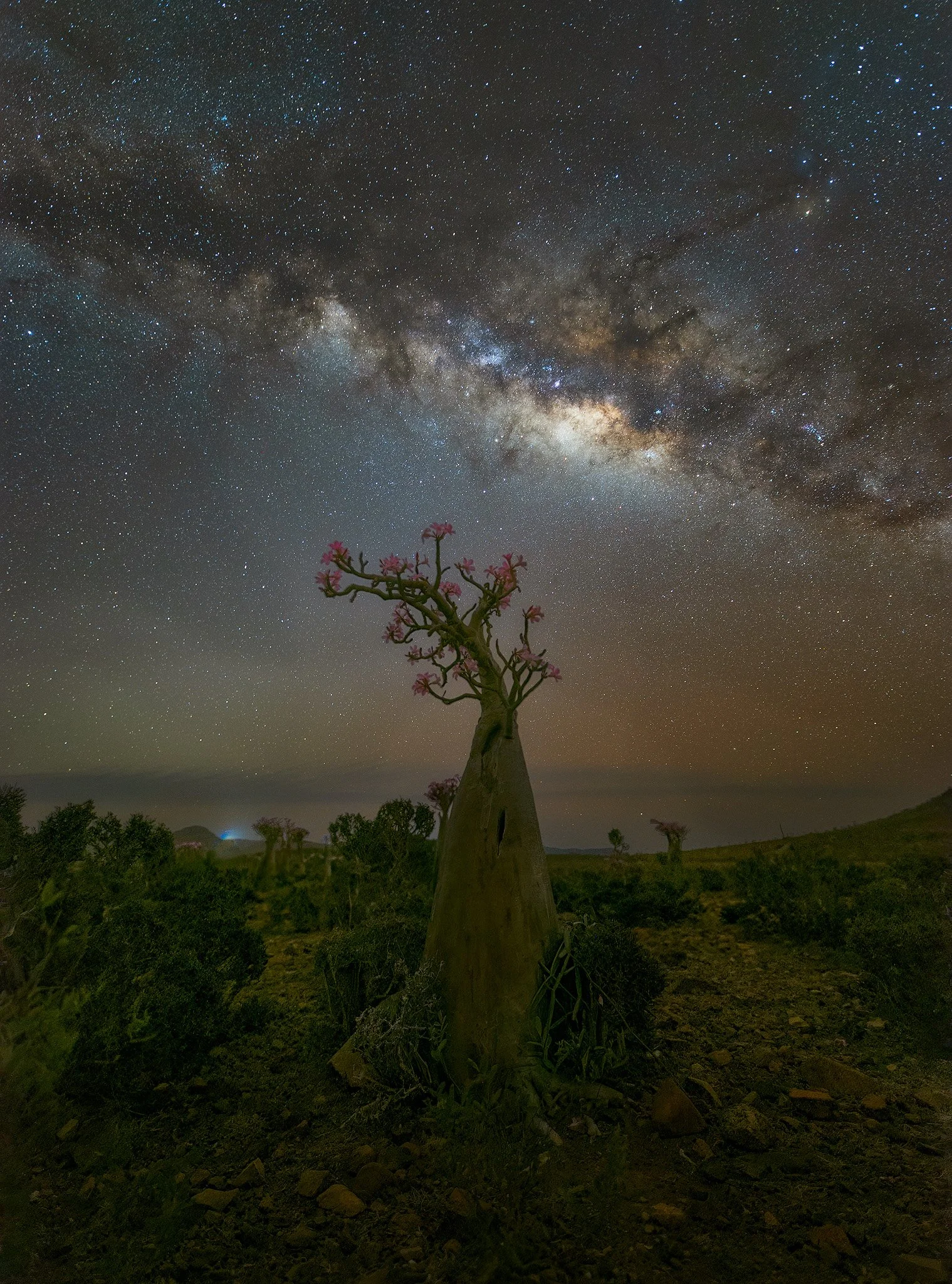 Socotra, Yemen