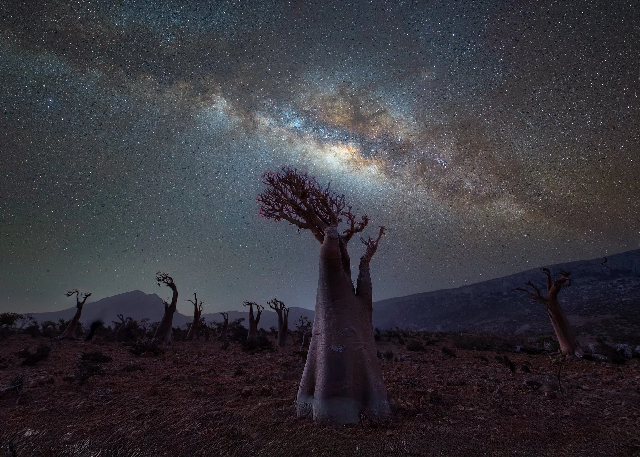 Socotra, Yemen