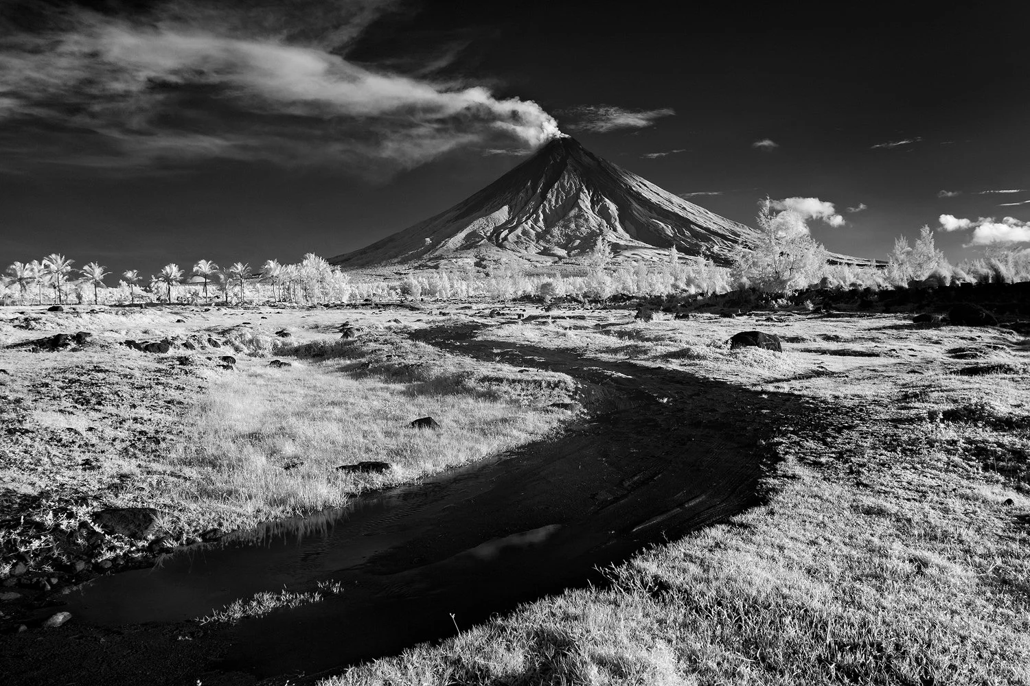 Path to Mayon.jpg