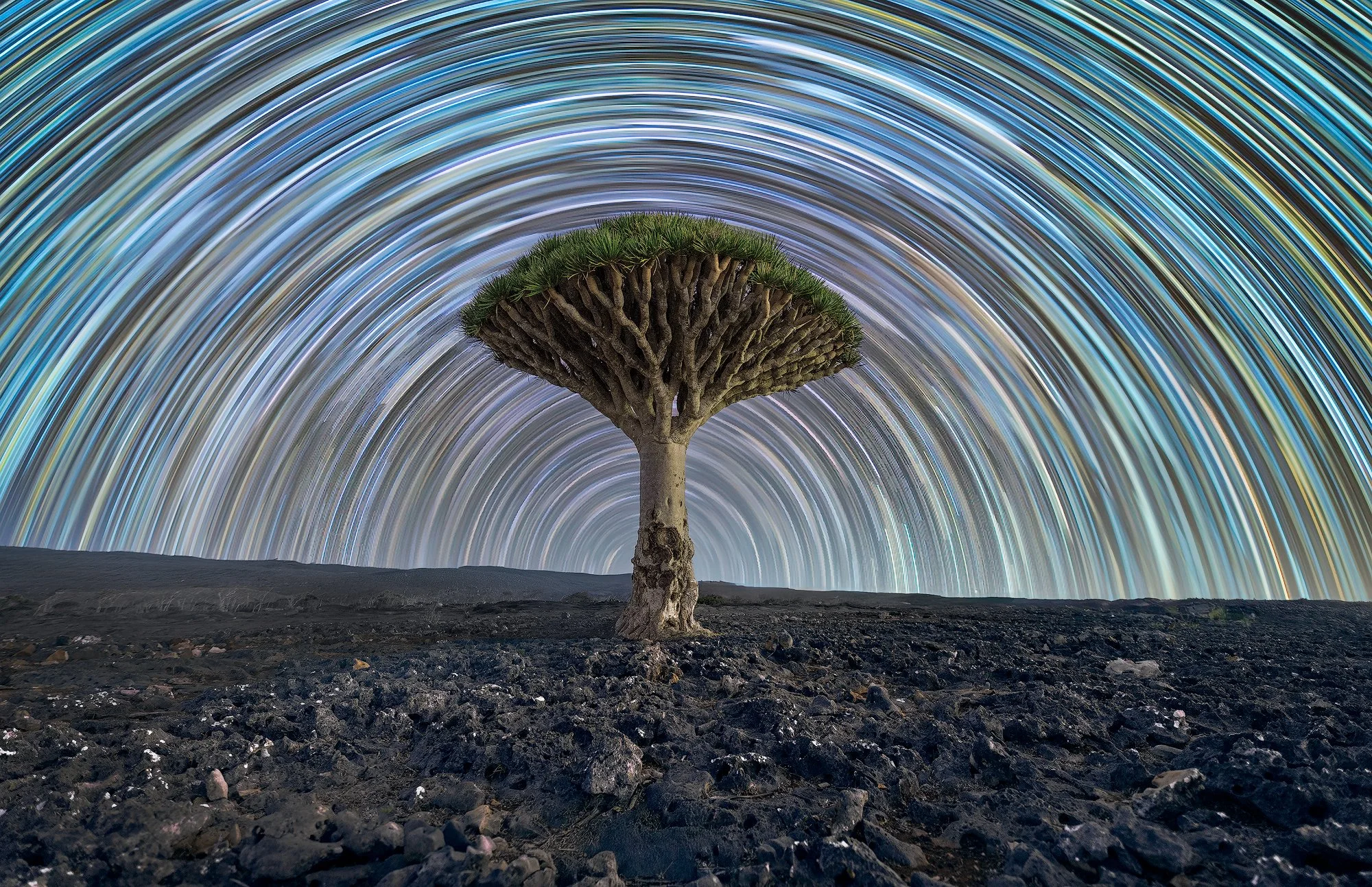 Socotra, Yemen
