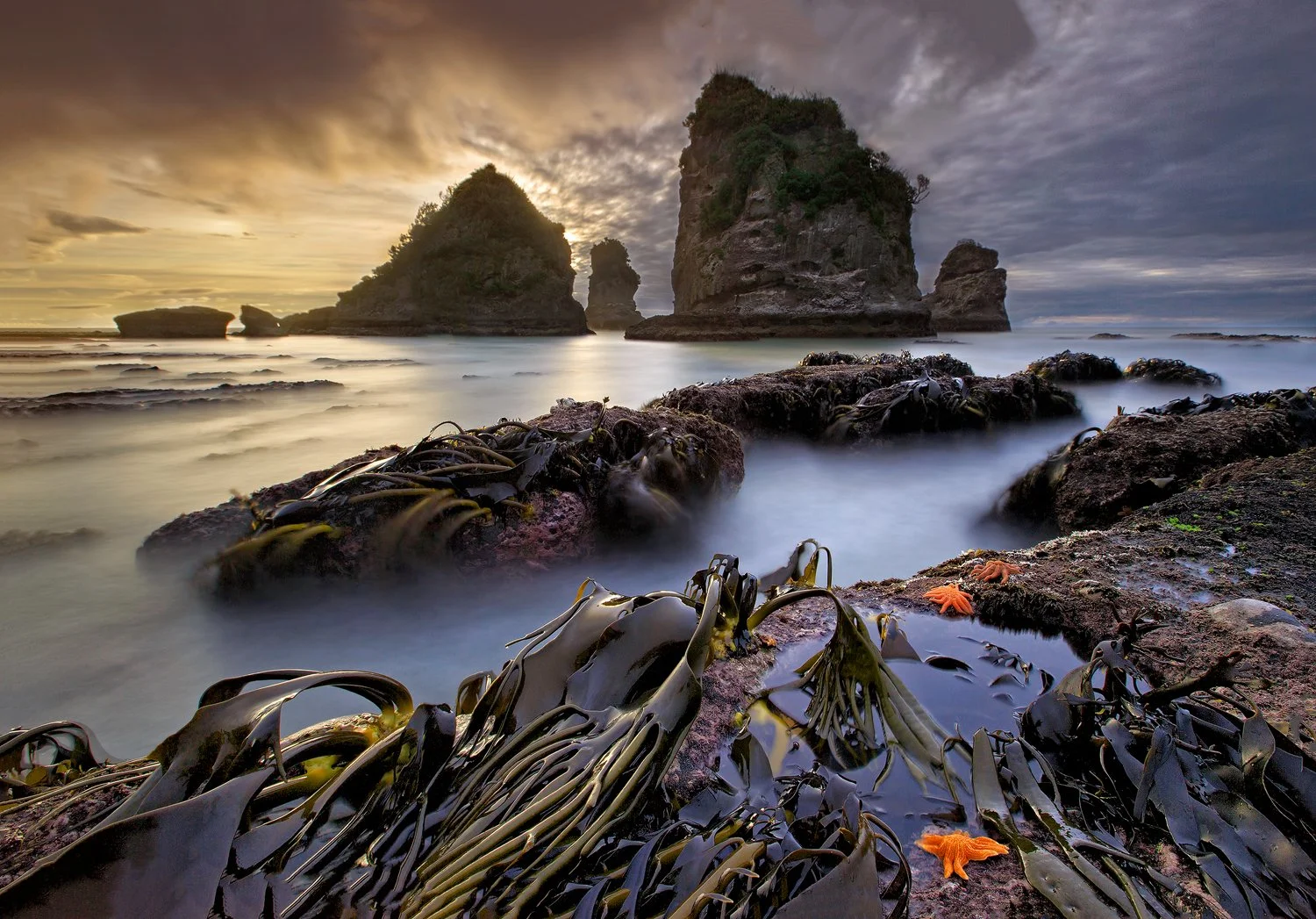 South Island, New Zealand