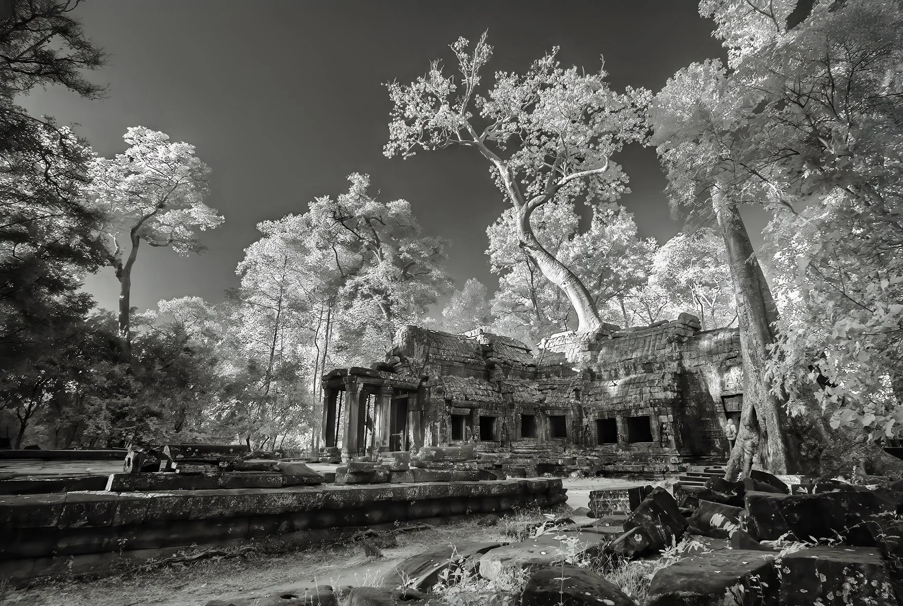 Ta Prahm IR.jpg
