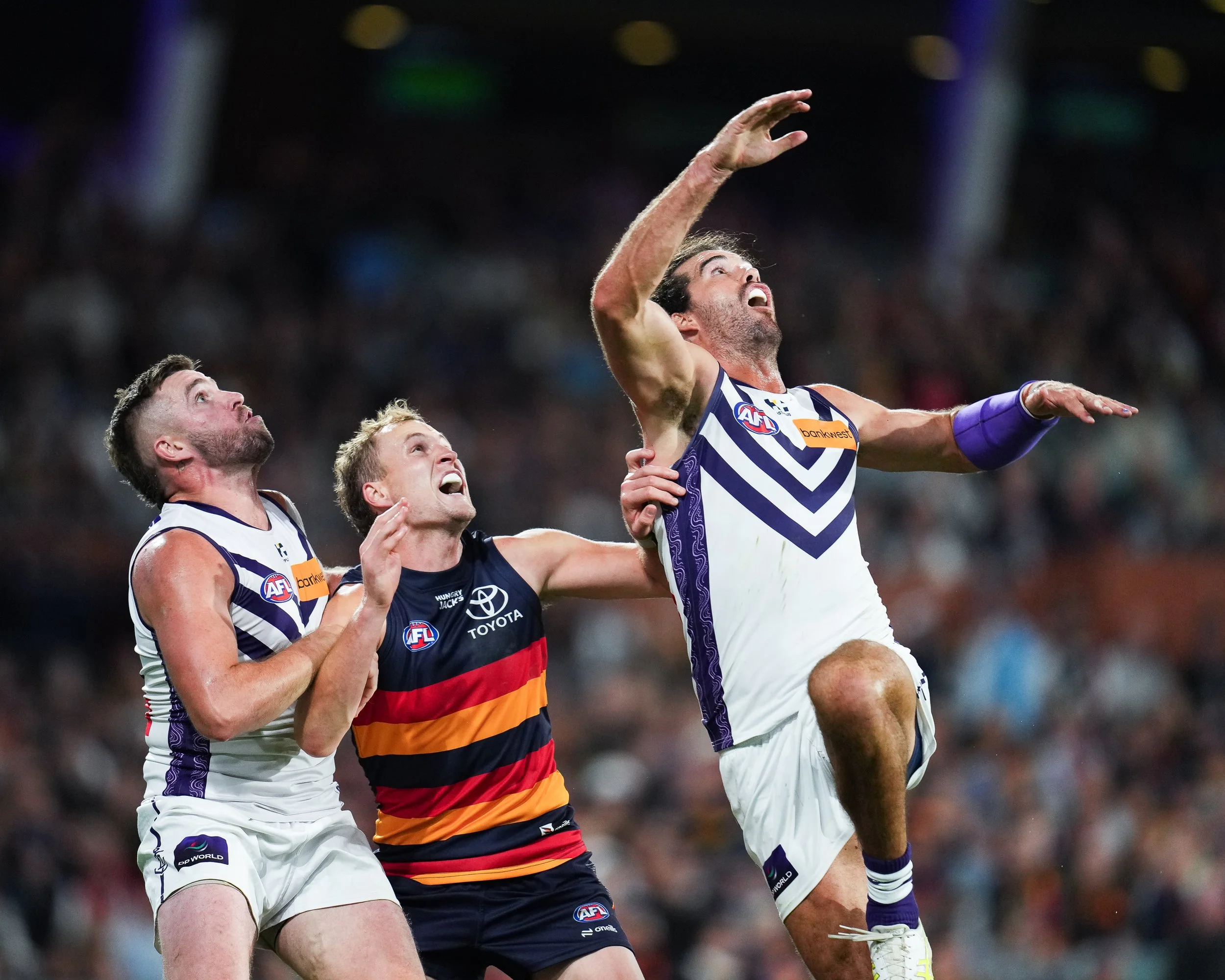 Crows vs. Fremantle - AFL Round 4 2026