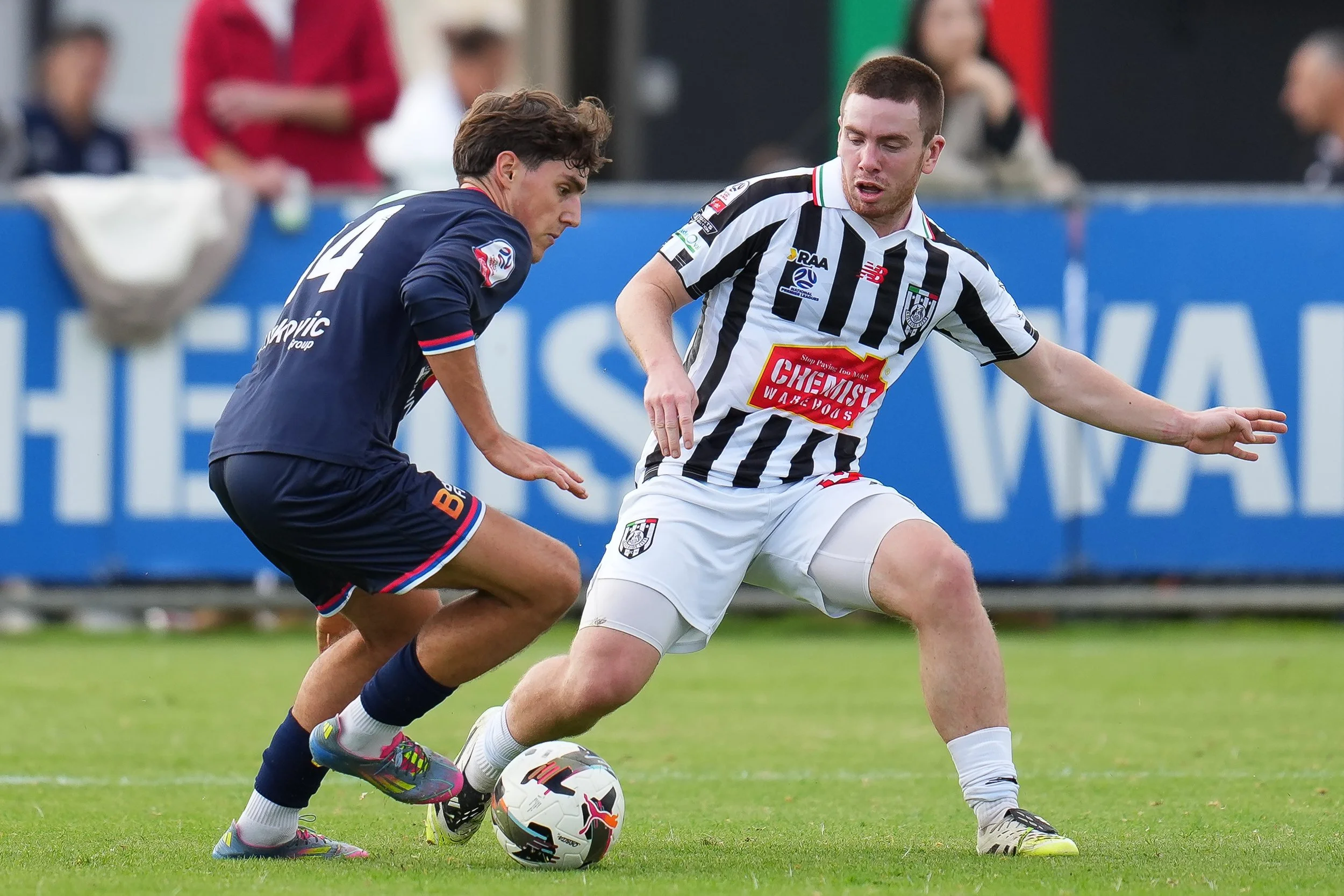 ACFCvs.FCBeo_23May-12.jpg