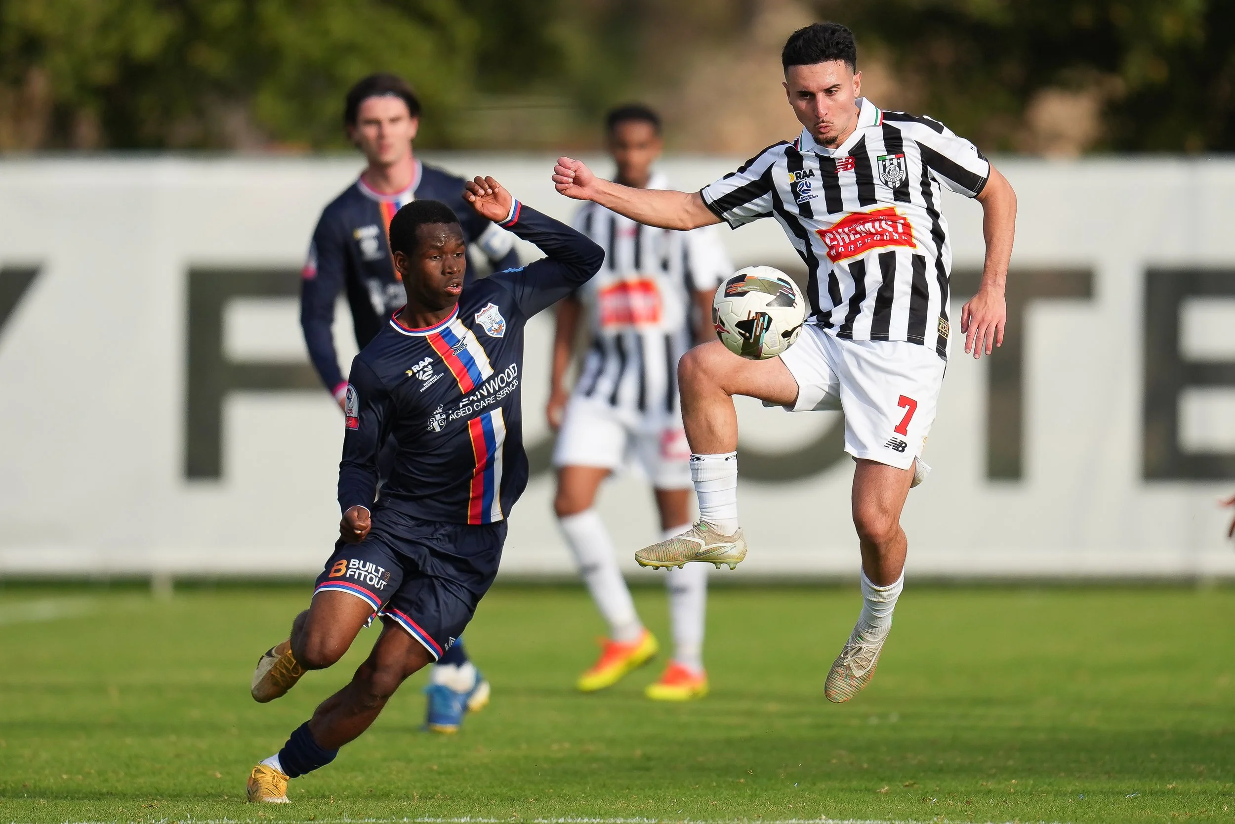 Adelaide City vs. FK Beograd - NPLSA 2026