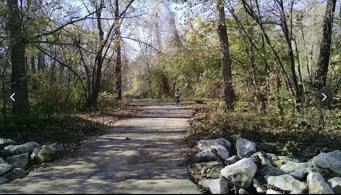 Creek Clean Up