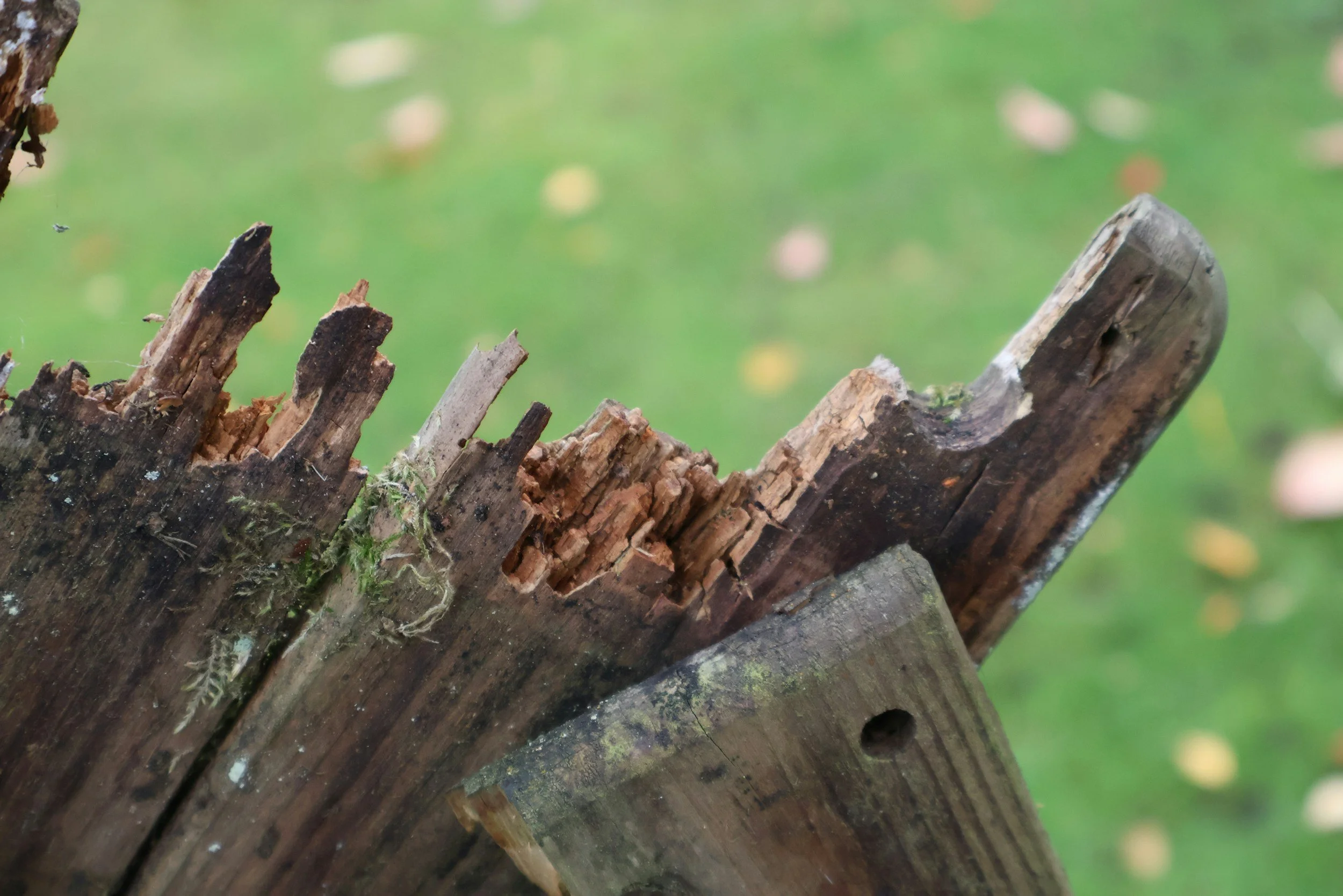 Broken Wooden Fence