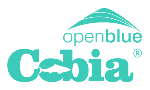 /portfolio/open-blue