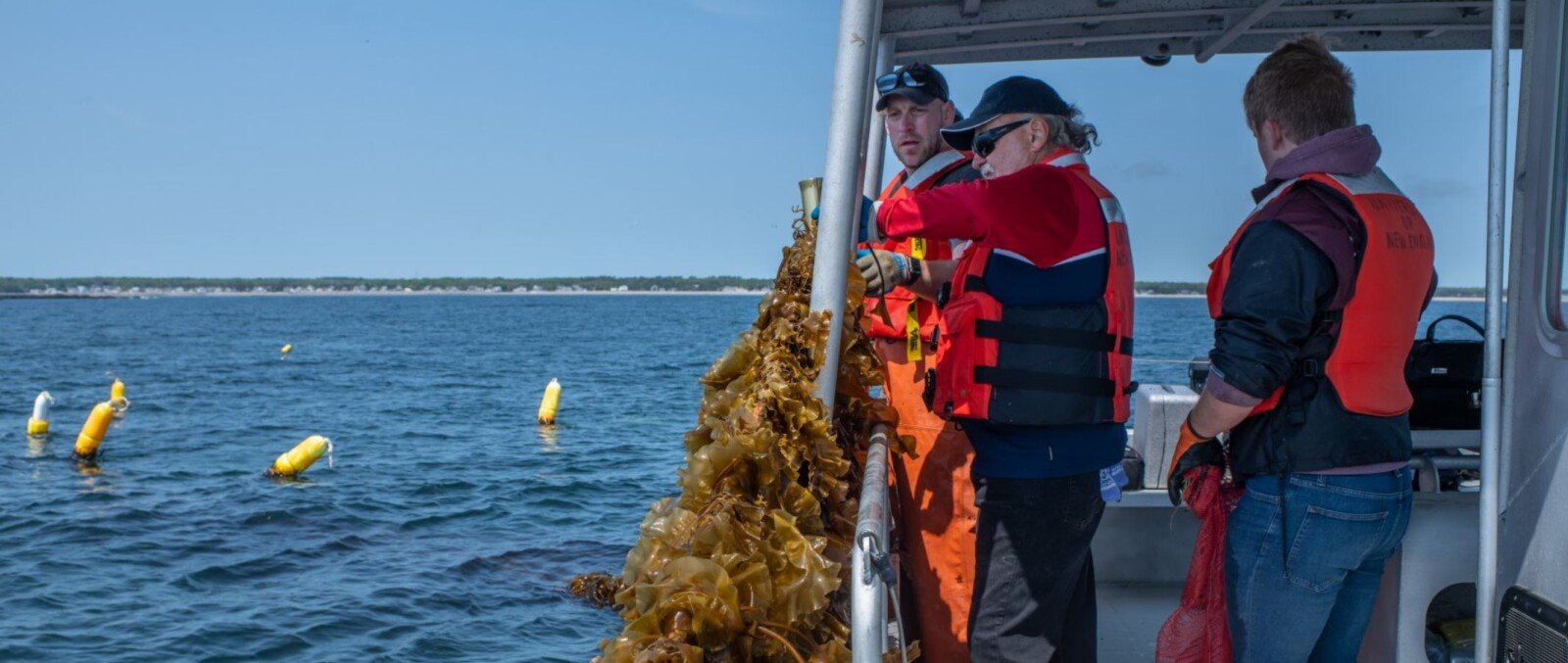 Restorative Aquaculture has Positive Impacts on Marine Life