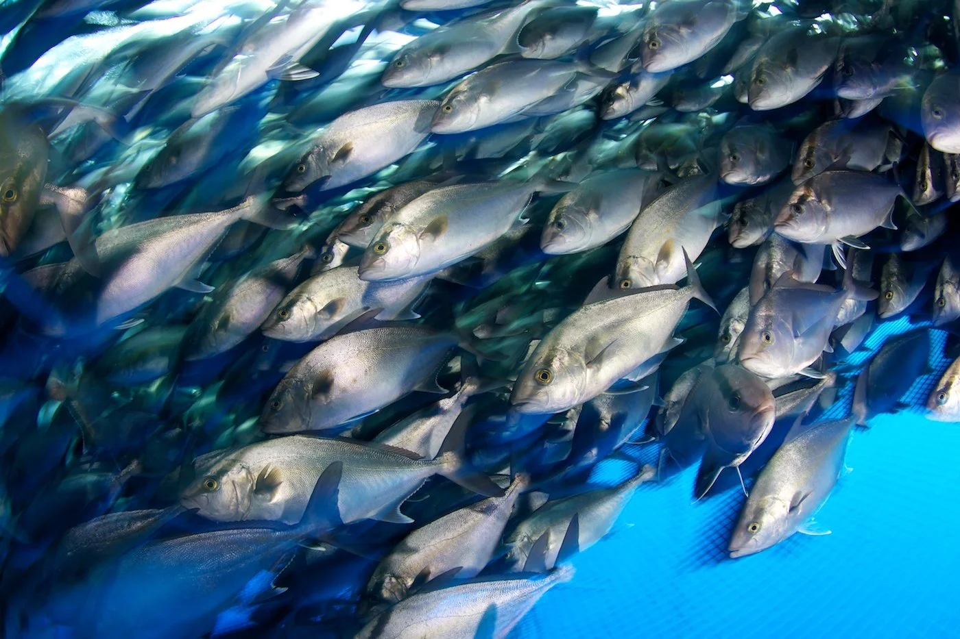 brycegroark 26 - Large School.jpg