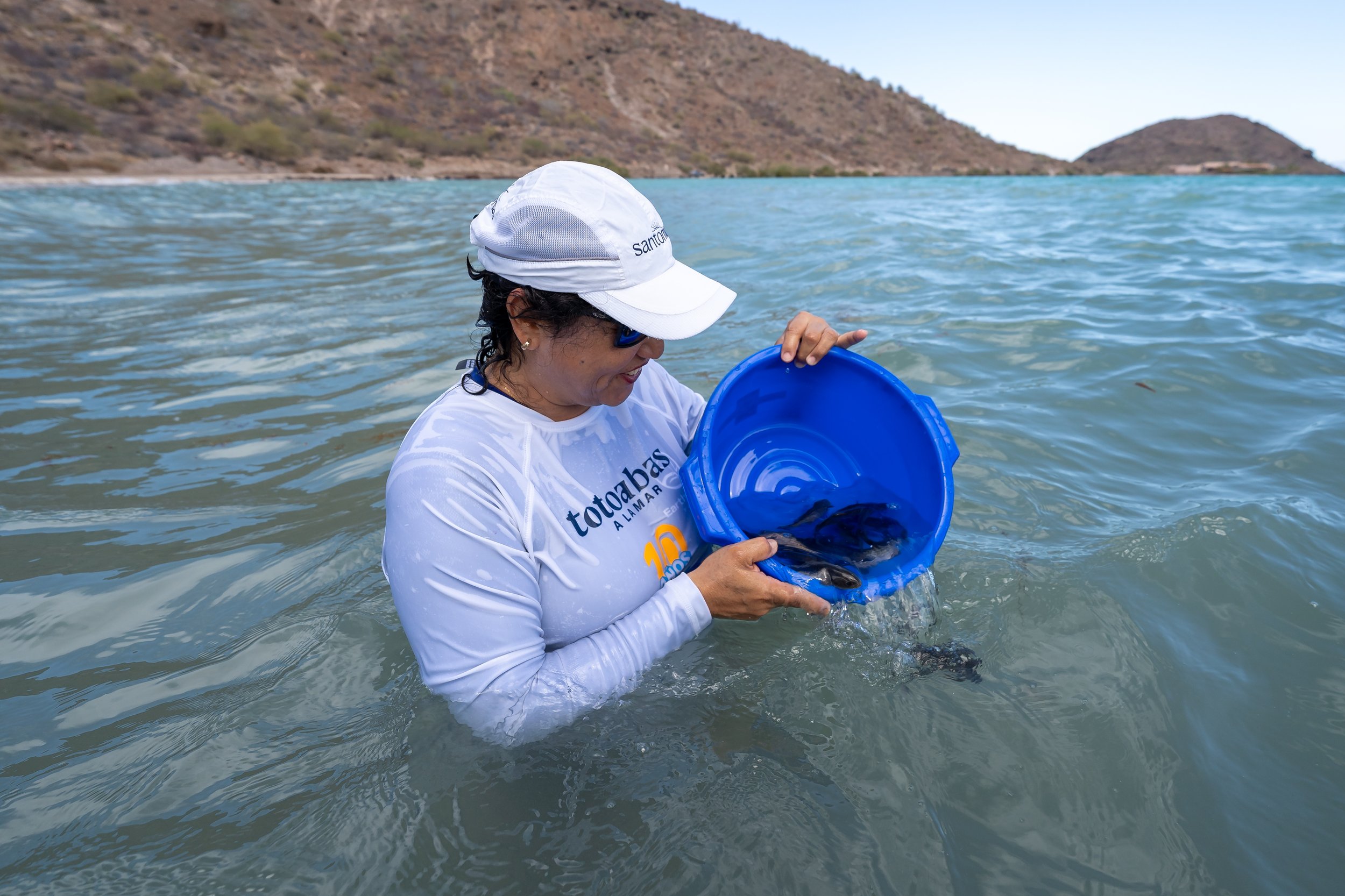 Liberación 2025 -3.jpg