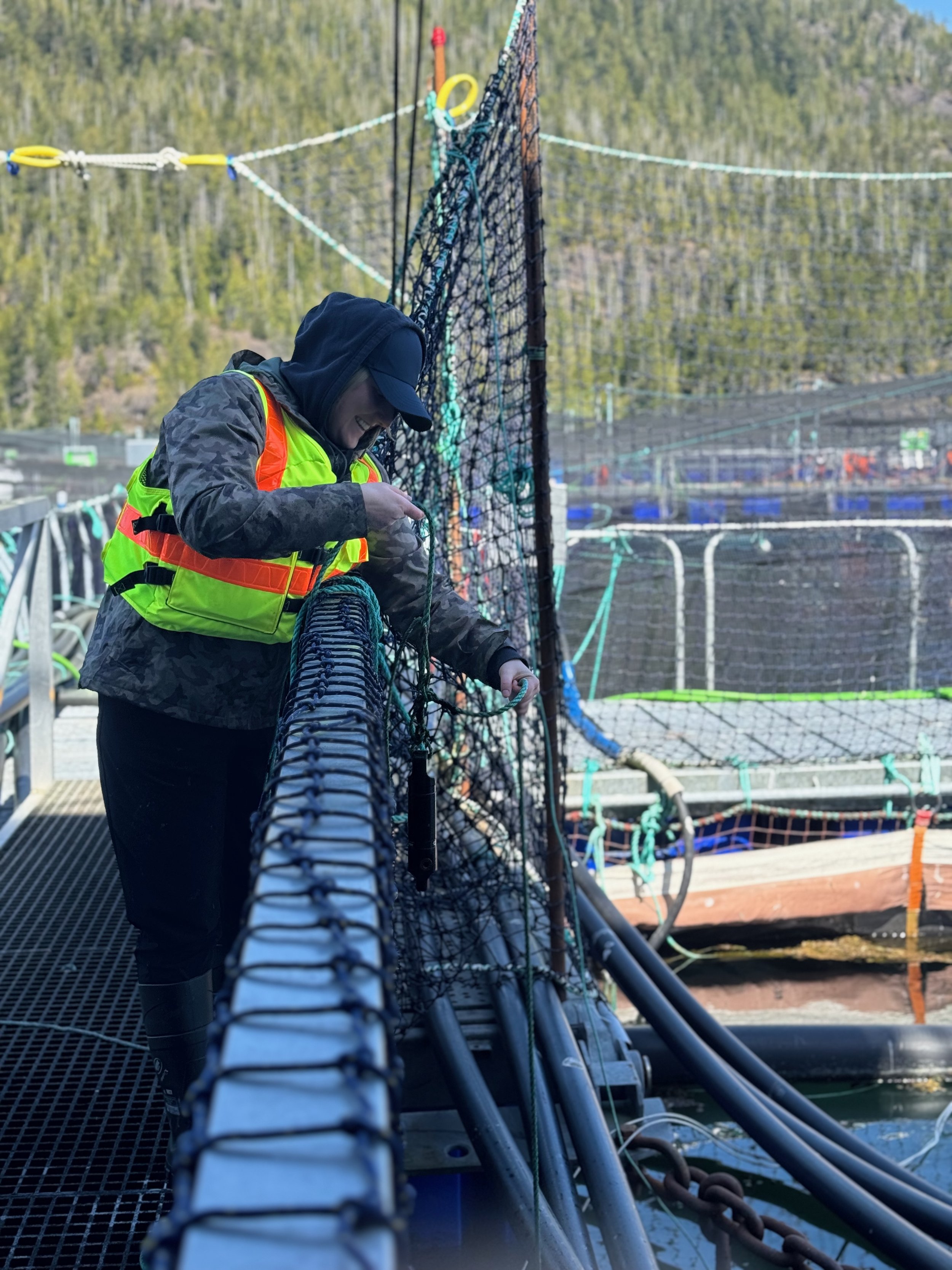 Adding a sensor.jpeg