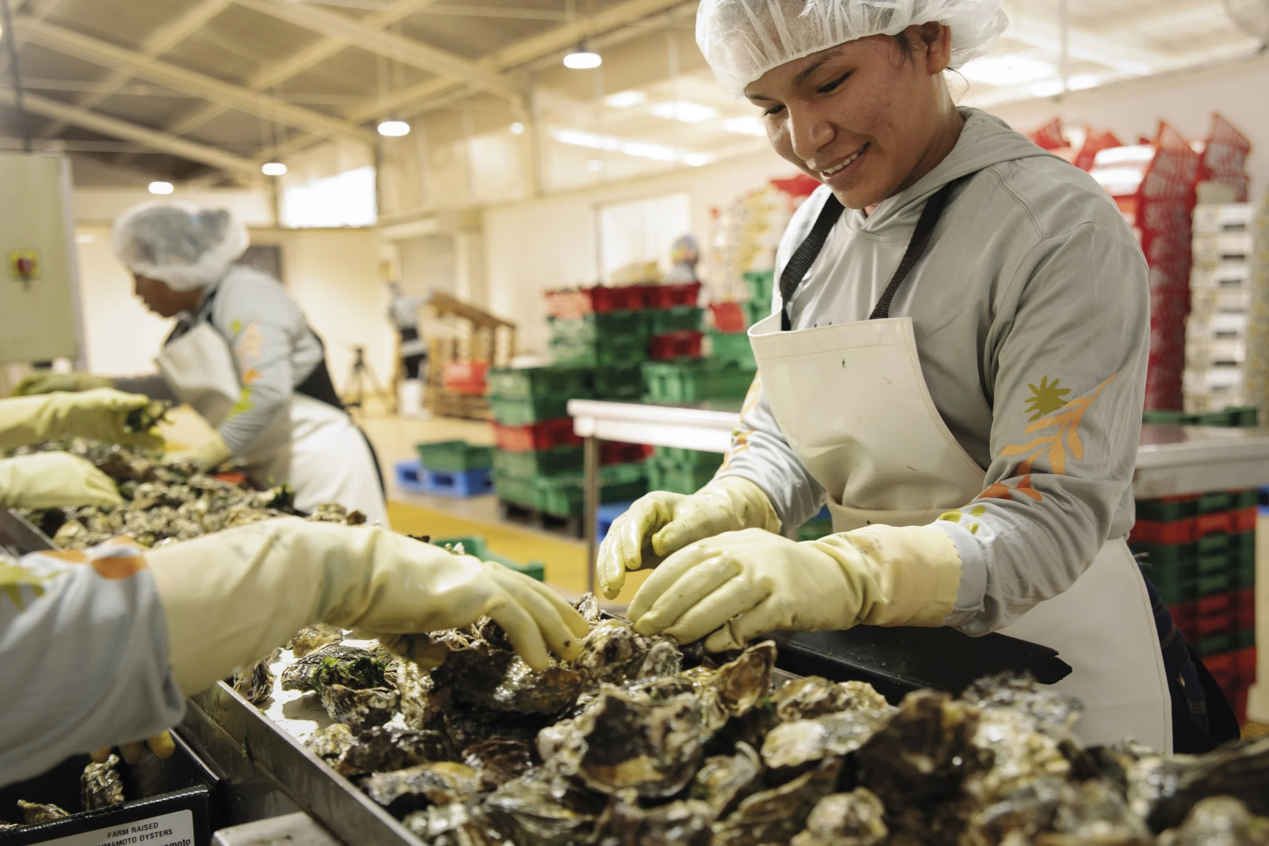Oysters_OurPeople_3.jpg