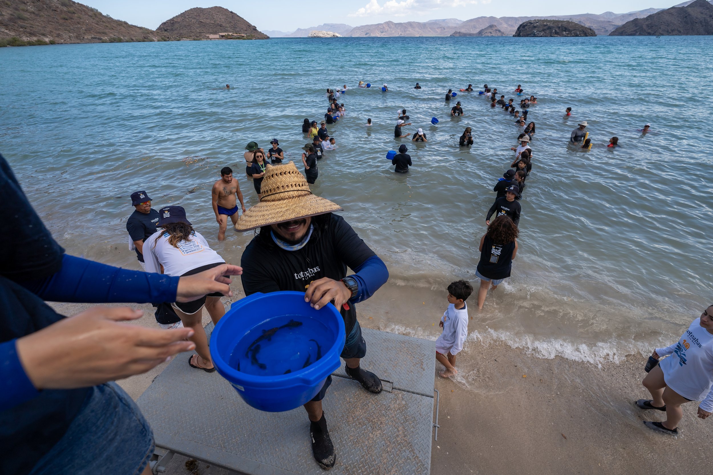 Liberación 2025 -4.jpg