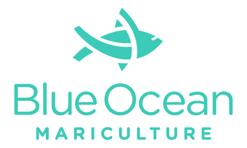 Blue Ocean Mariculture logo with a stylized fish and ocean wave above the company name in turquoise text.