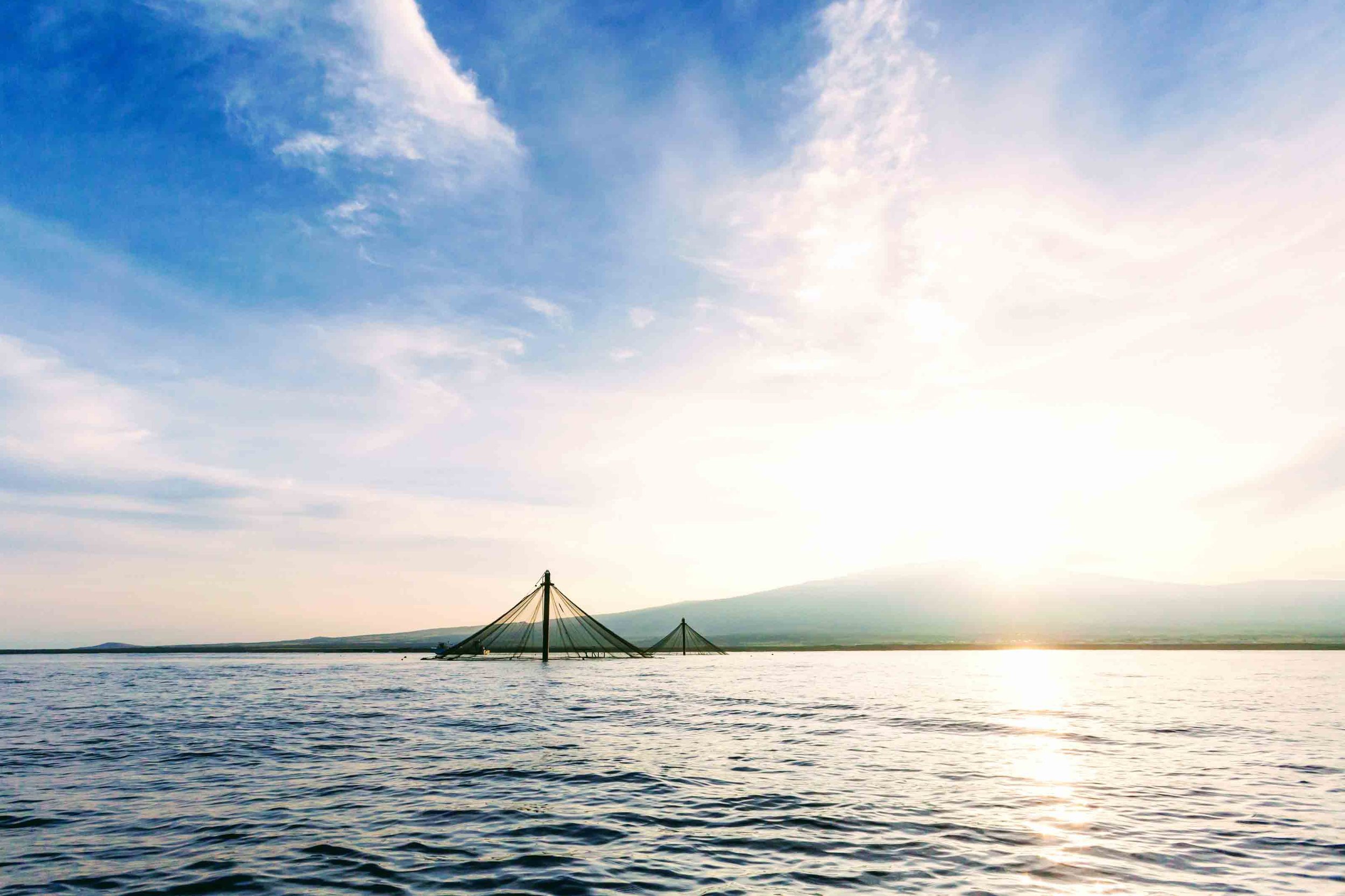 SeaStation Sunset.jpg