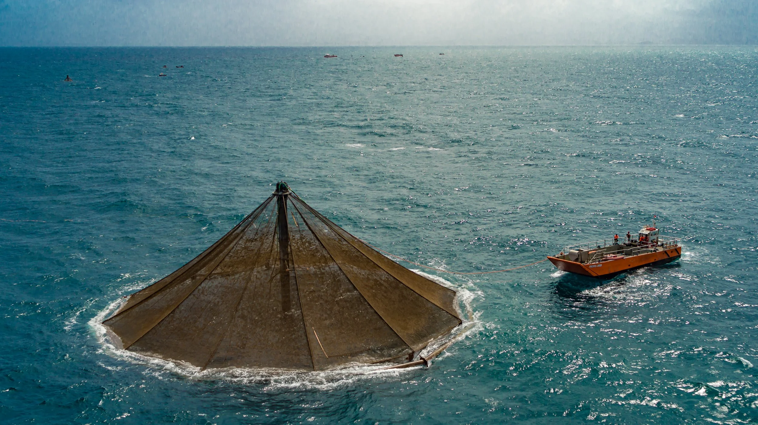 Copia de OpenBlue2-005.jpg