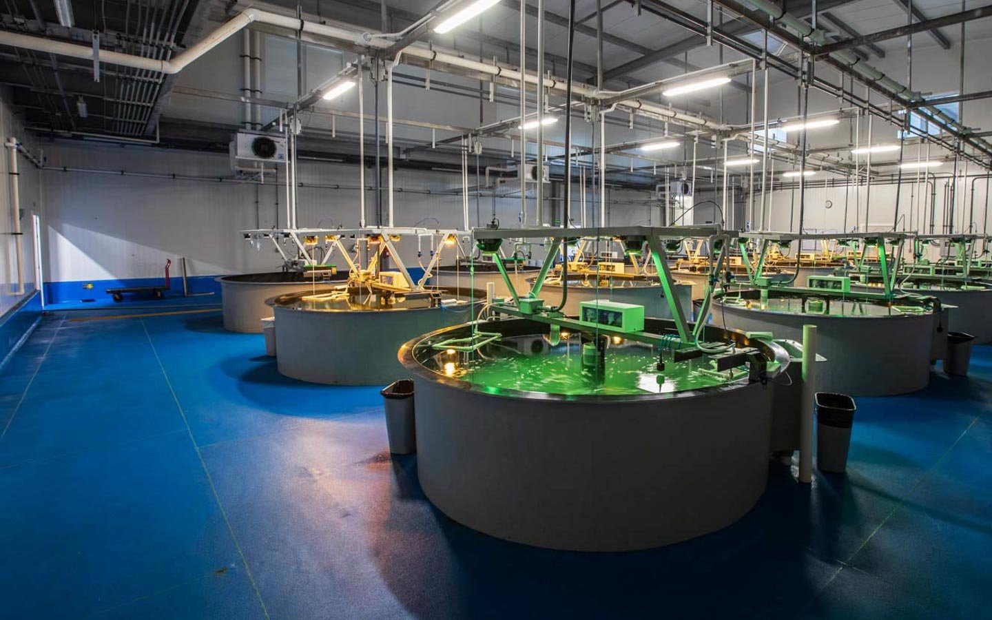 Inside a clean, industrial manufacturing facility with several large circular tanks filled with green liquid and connected machinery, illuminated by overhead fluorescent lights.