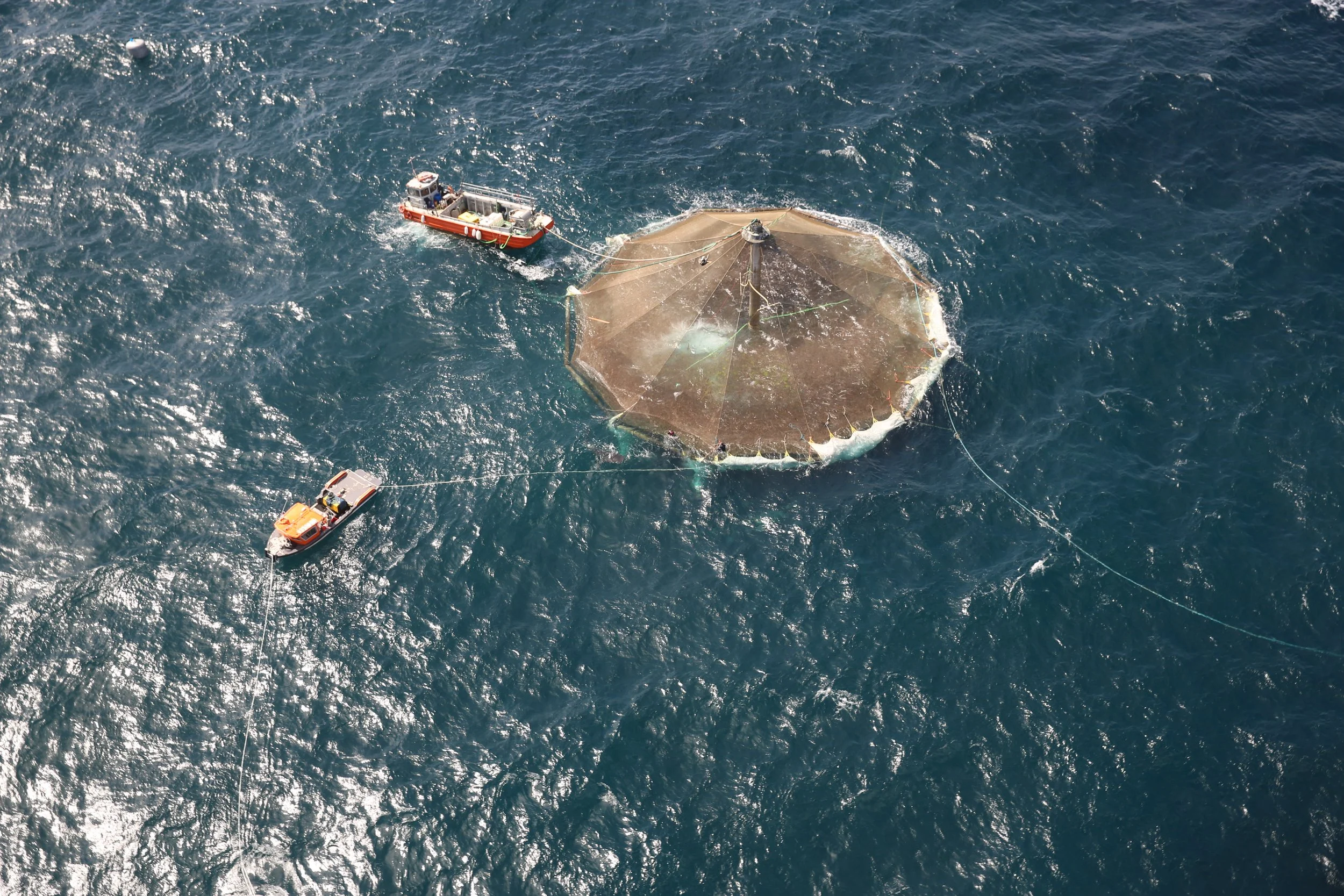 Aerial of bathing.jpg