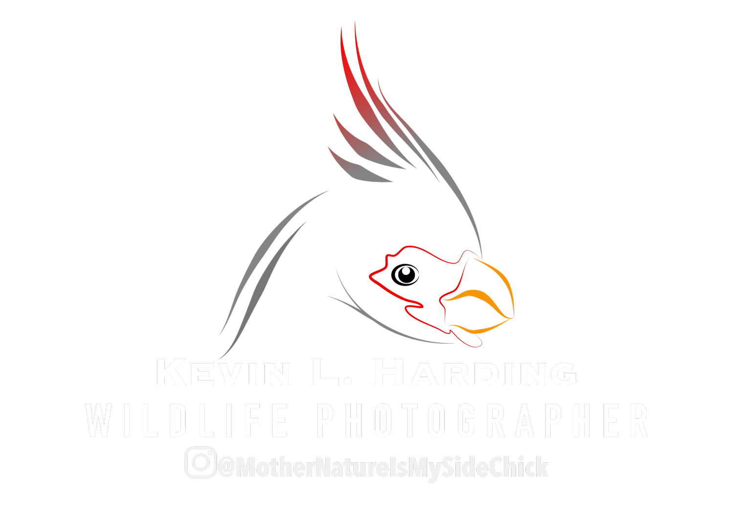 Kevin Harding  