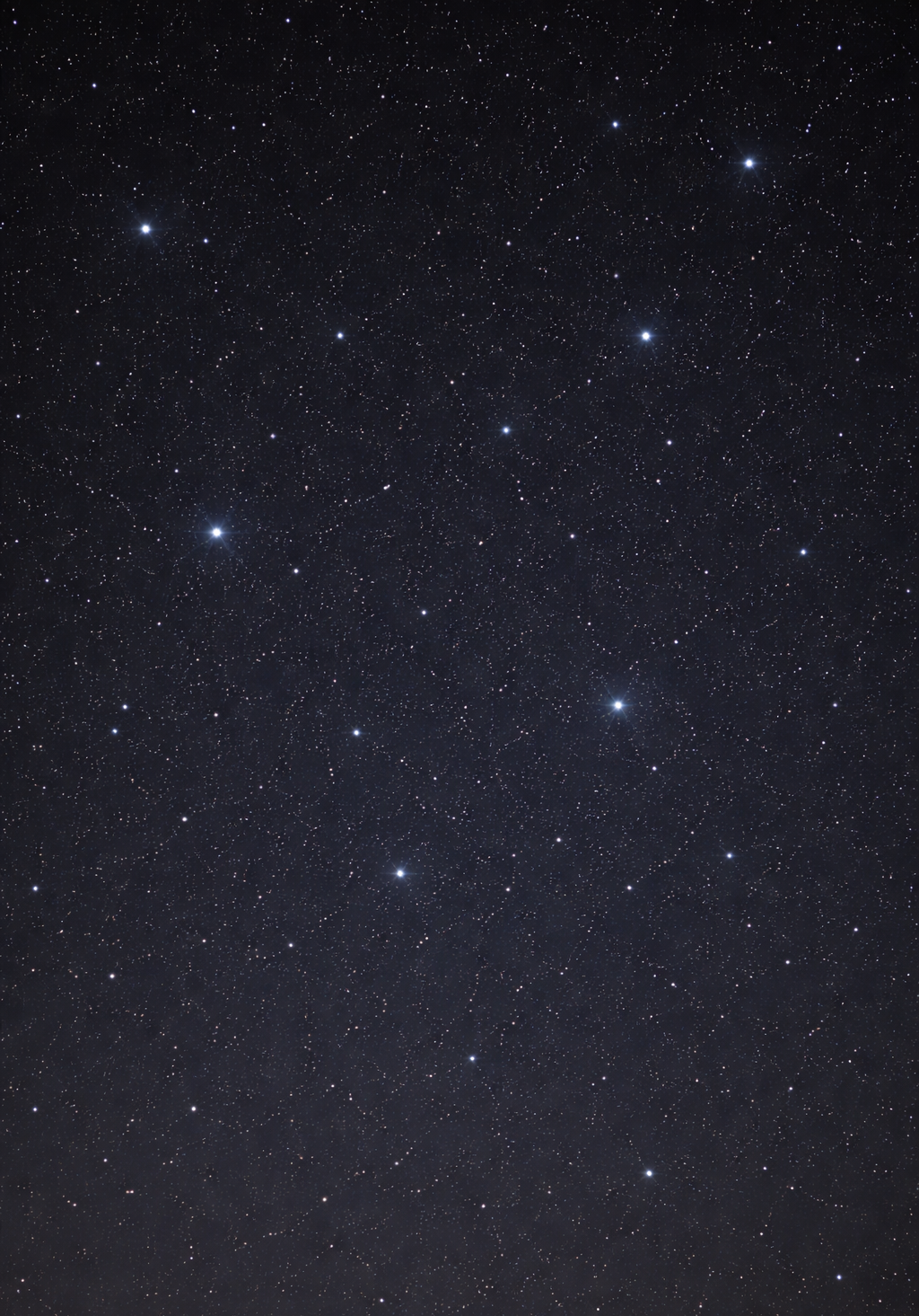 Night sky filled with numerous stars, some brighter than others, scattered across the sky.