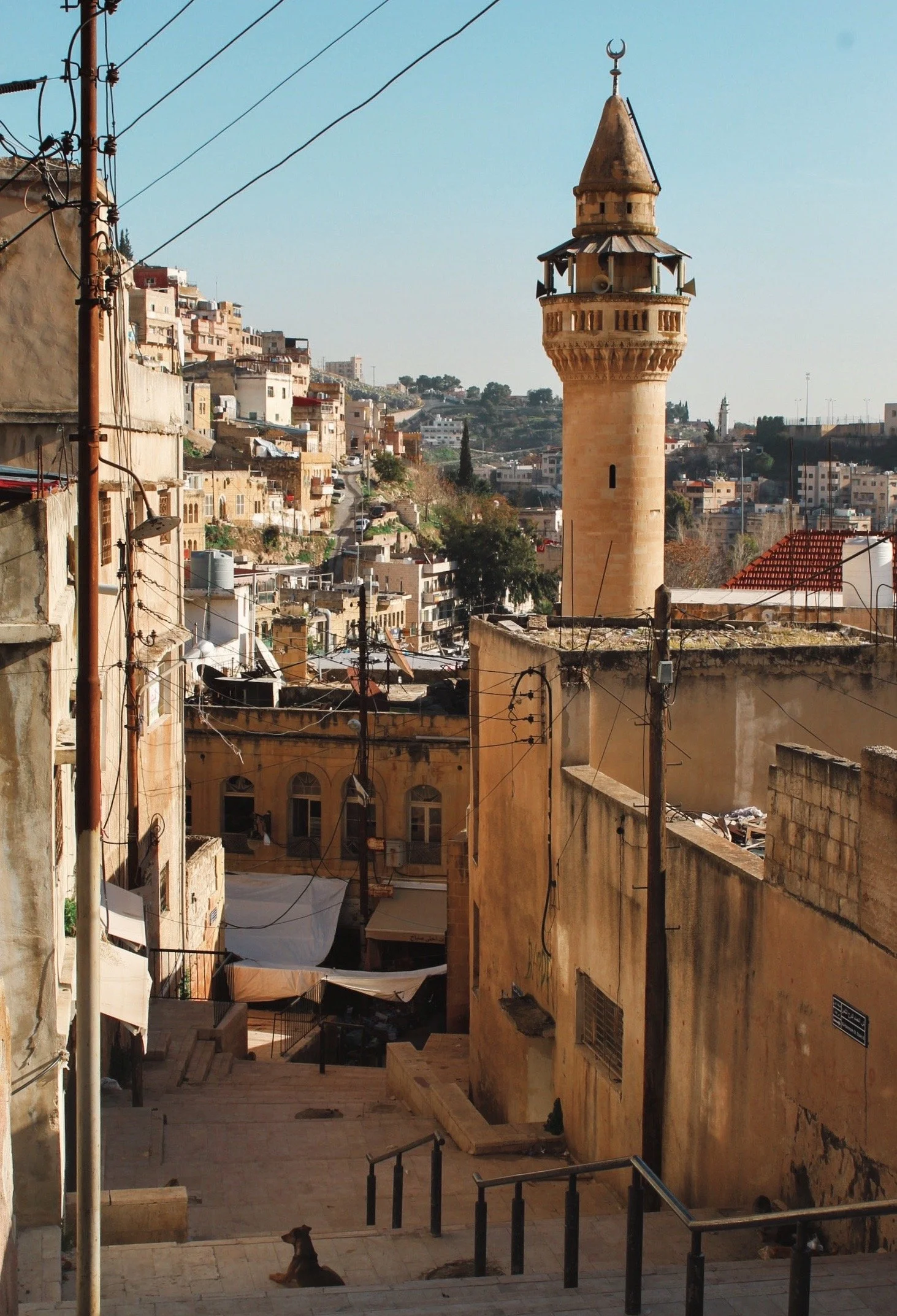 Cityscape with narrow streets, old buildings, and a tall minaret in the background.