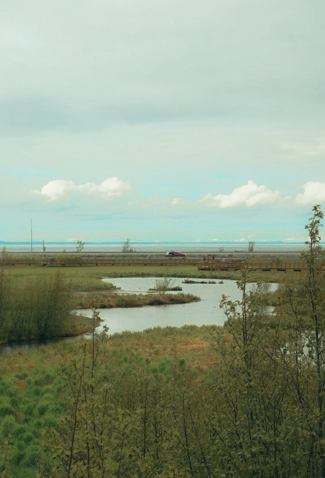 Coastal wetlands in the afterrnoon. Canon R50