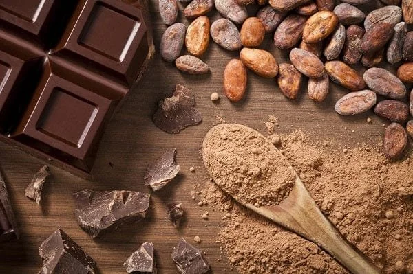 chocopic_600x.jpg