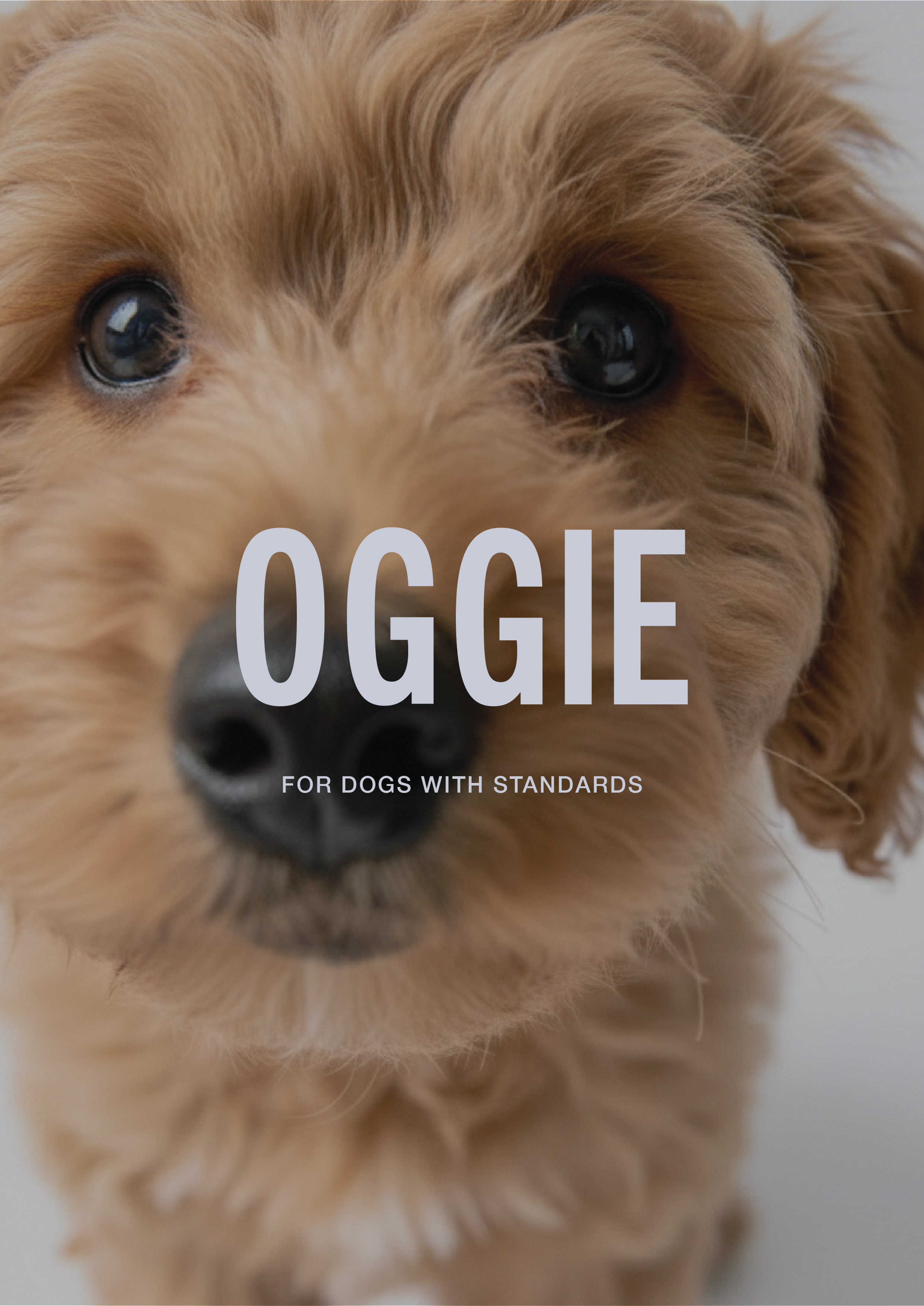 OGGIE.png
