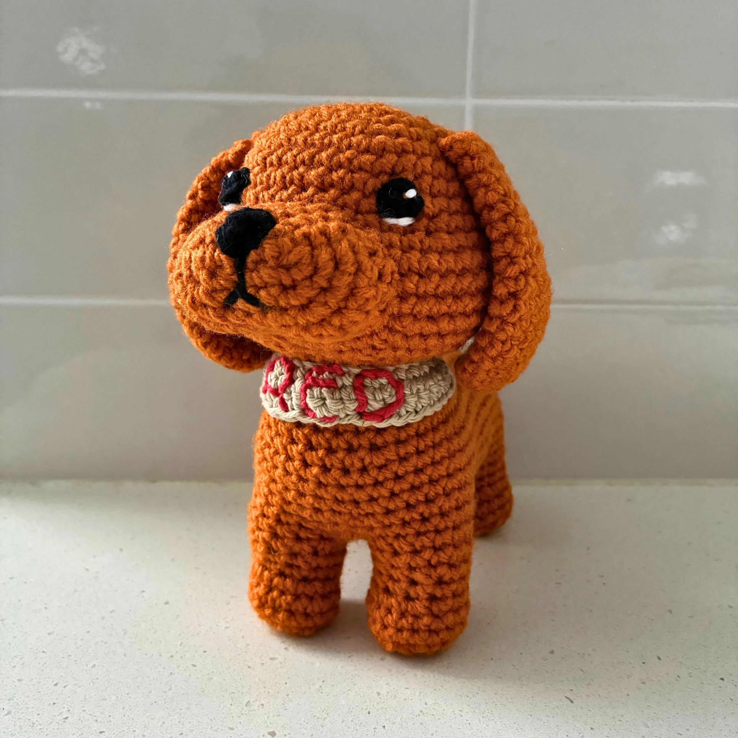 RED the Cavalier King Charles Spaniel