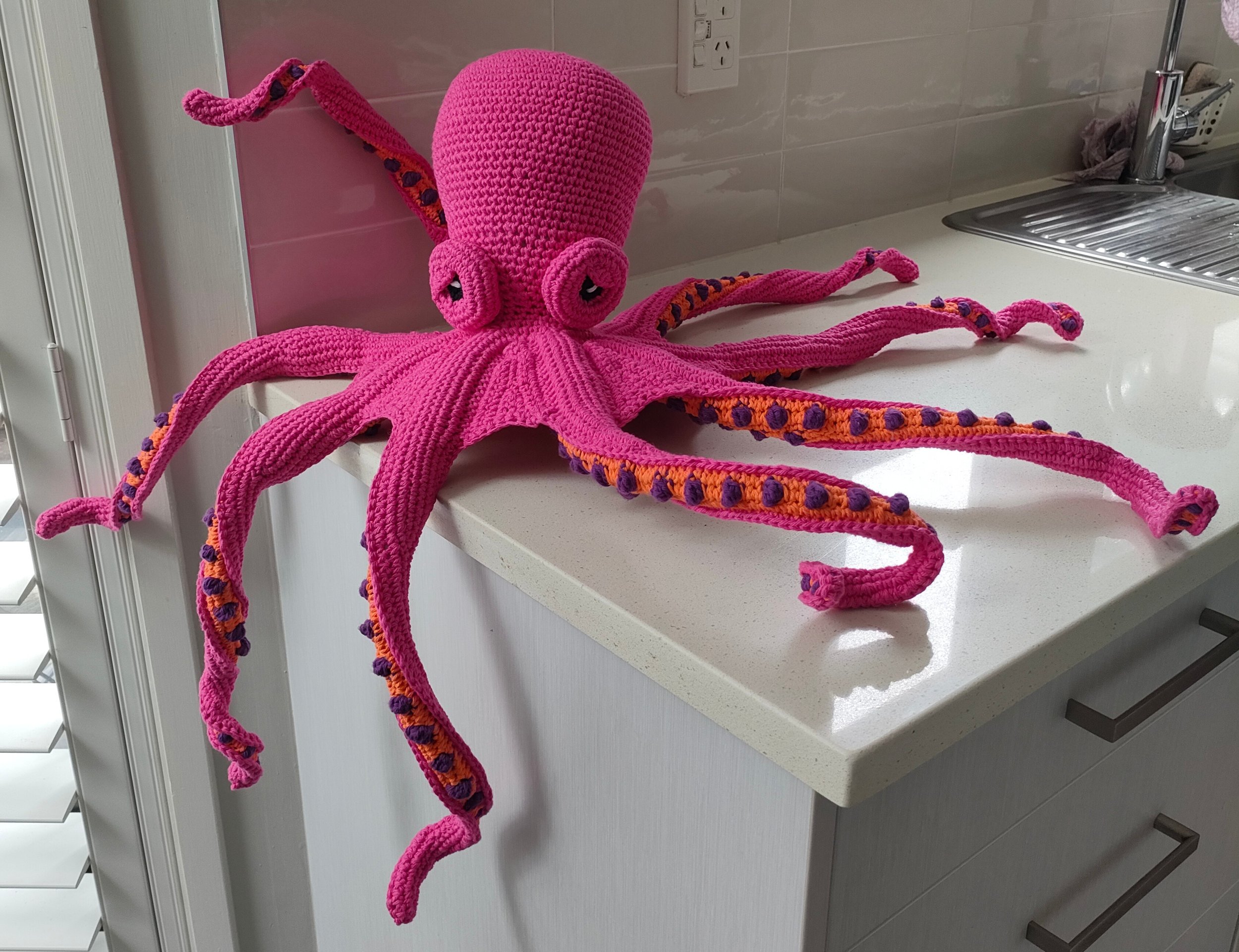 Olive the Octopus