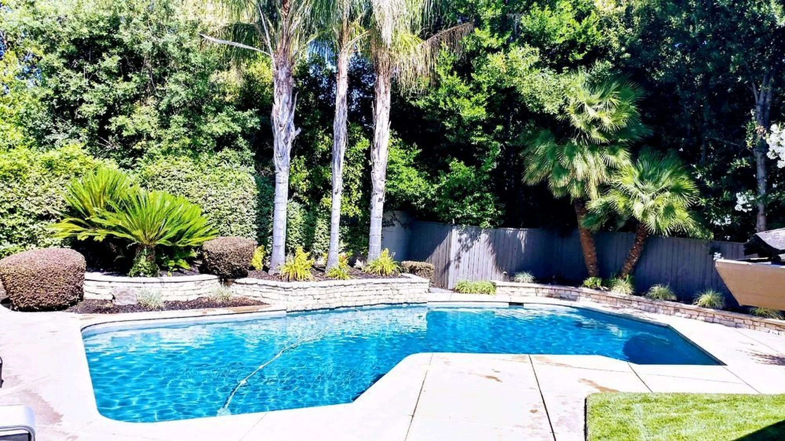 Backyard swimming pool surrounded by lush green trees and shrubs, with a wooden fence in the background.
