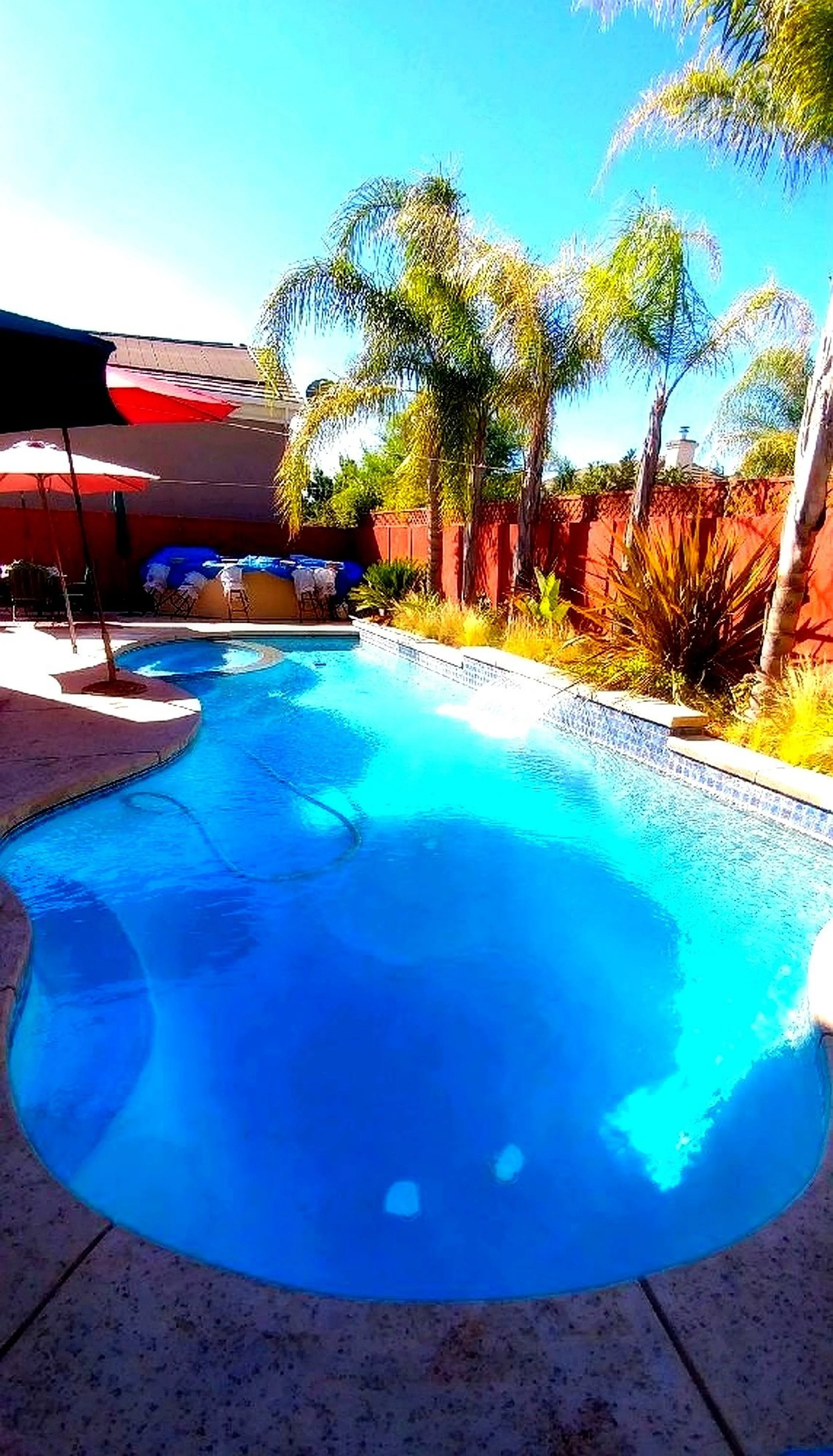 A backyard swimming pool with a hot tub, surrounded by palm trees and outdoor furniture, under a bright blue sky.