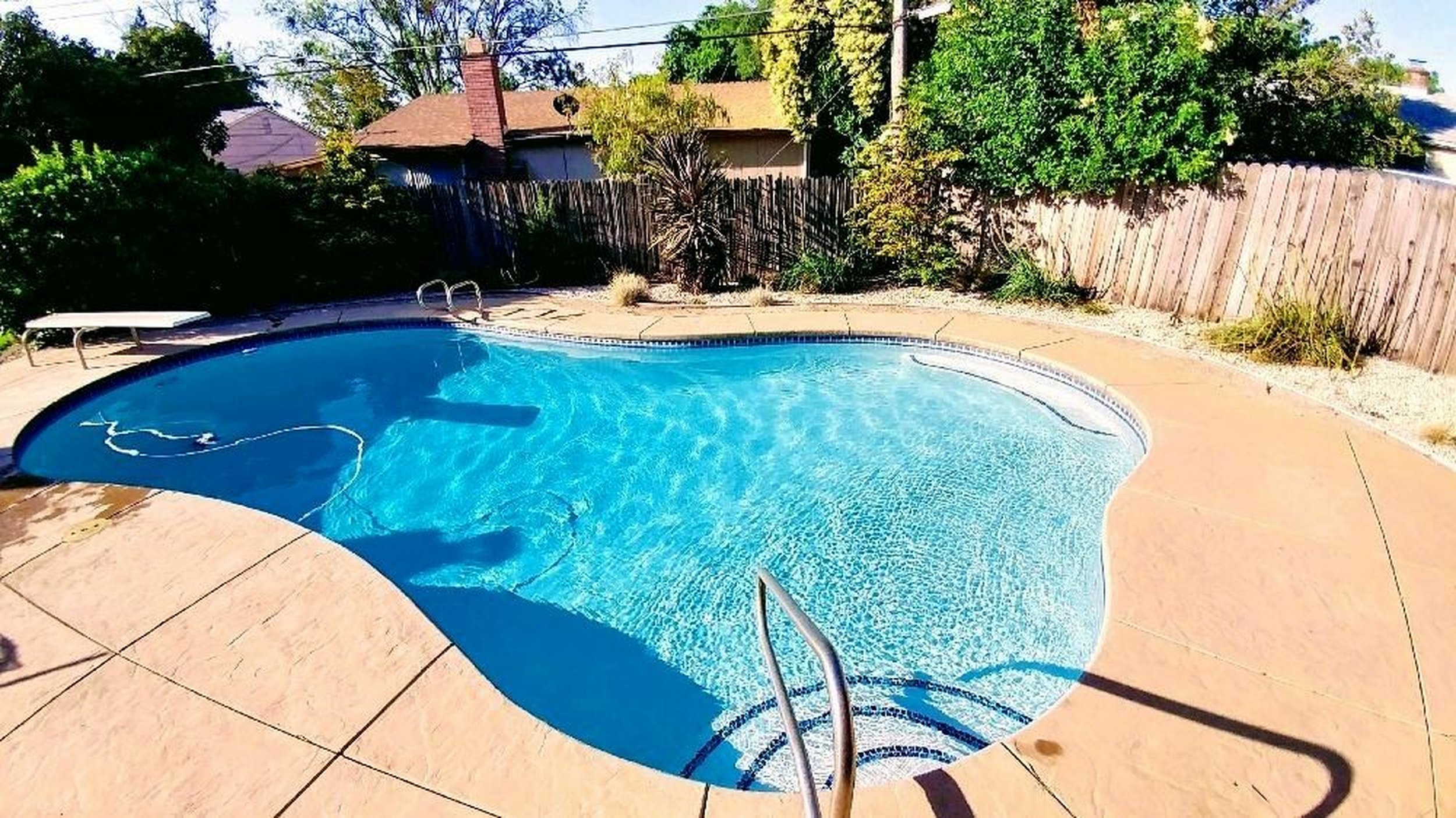 A backyard with a kidney-shaped swimming pool surrounded by a concrete patio, with a pool ladder, a bench, and various plants and trees around the fence.
