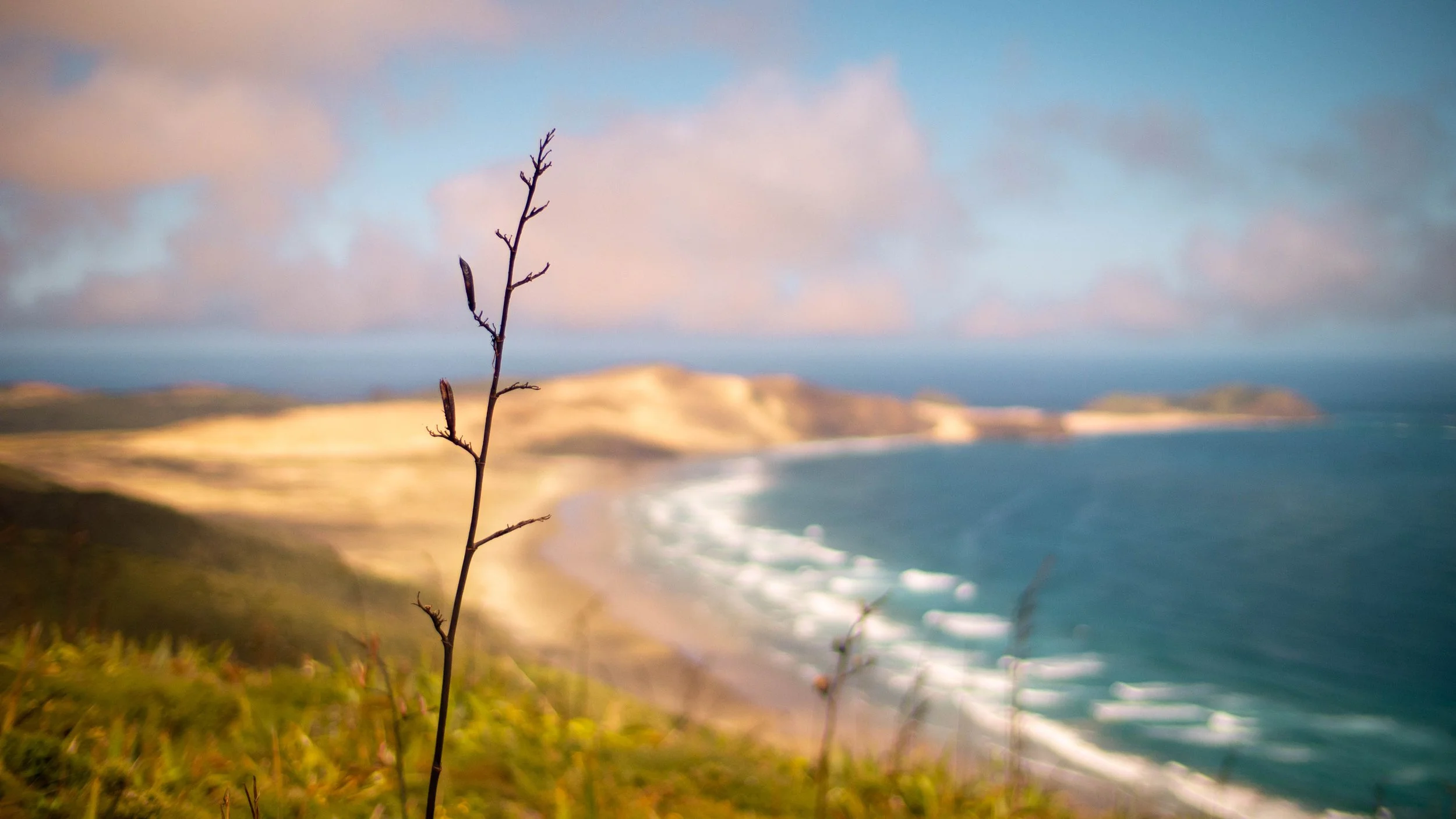 Cape Reinga Shore