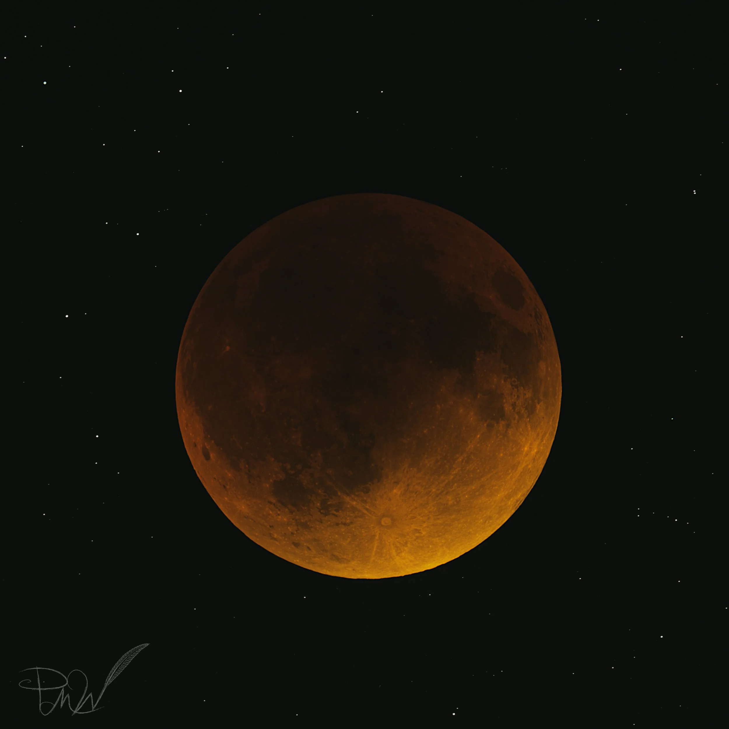 PMW-SuperflowerBloodmoon.jpg
