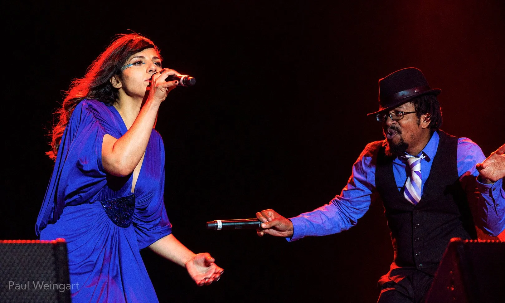 Thievery Corporation - 2014