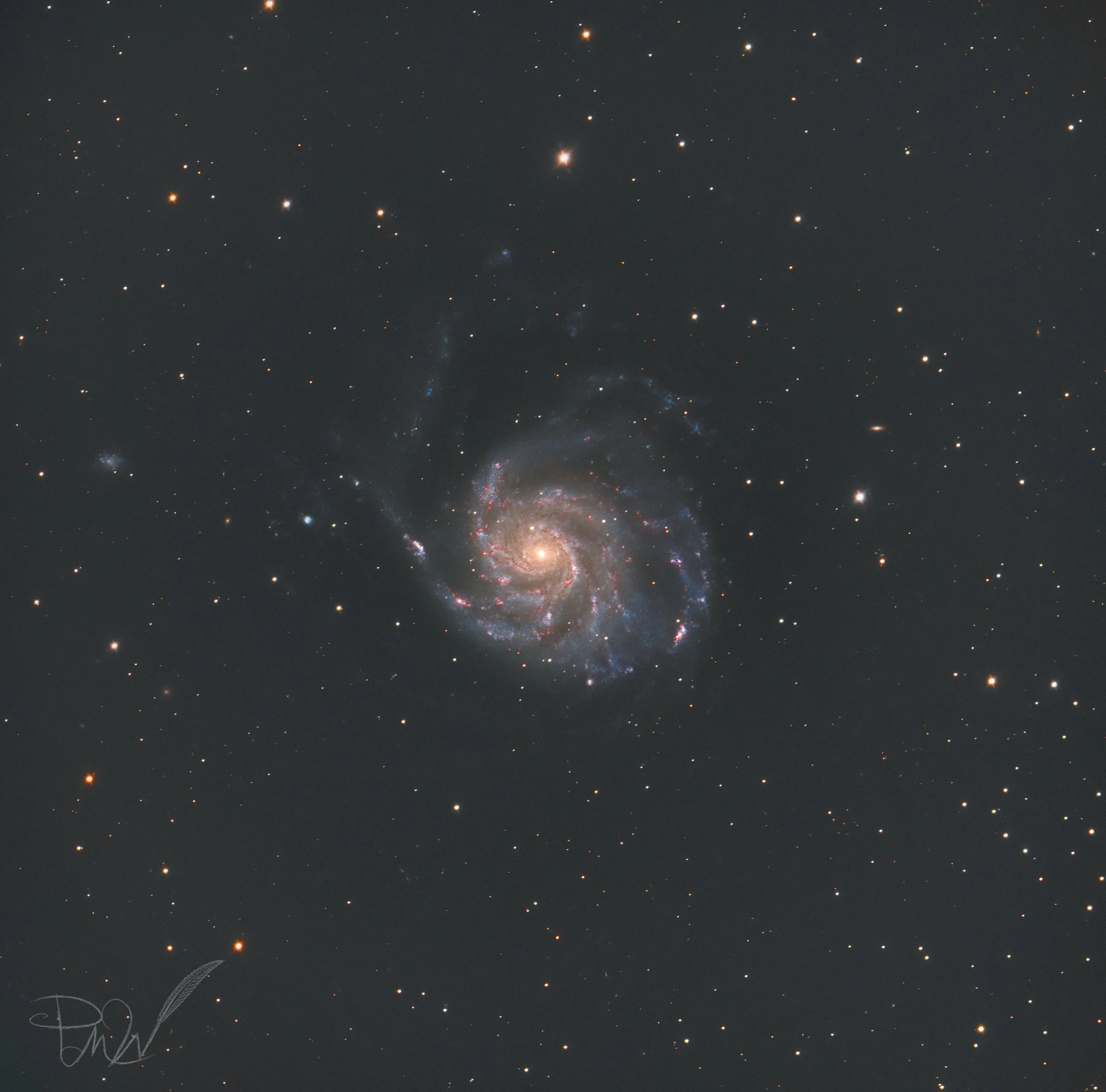 PMW-m101-RASA11.jpg