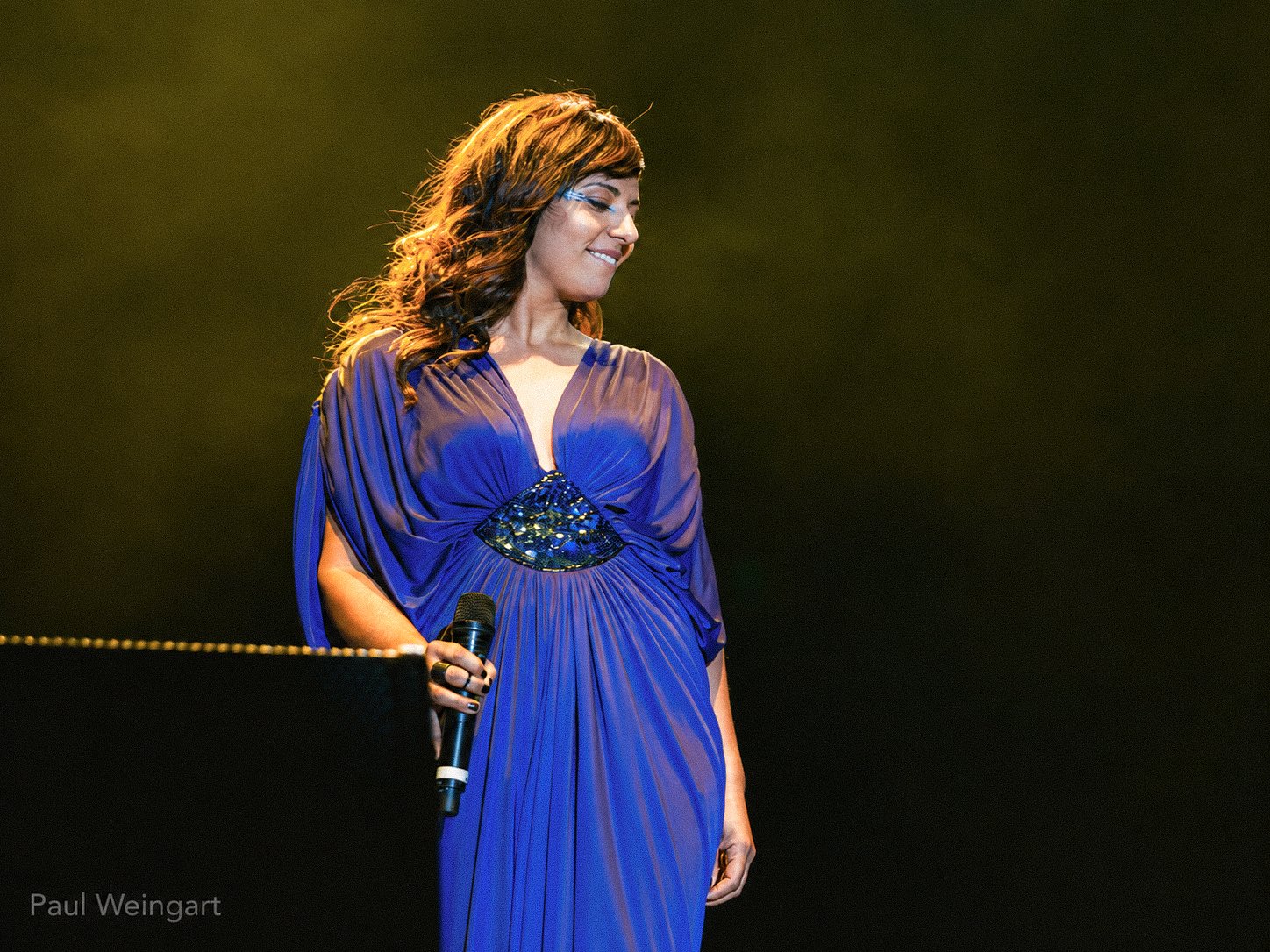 Thievery Corporation - 2014