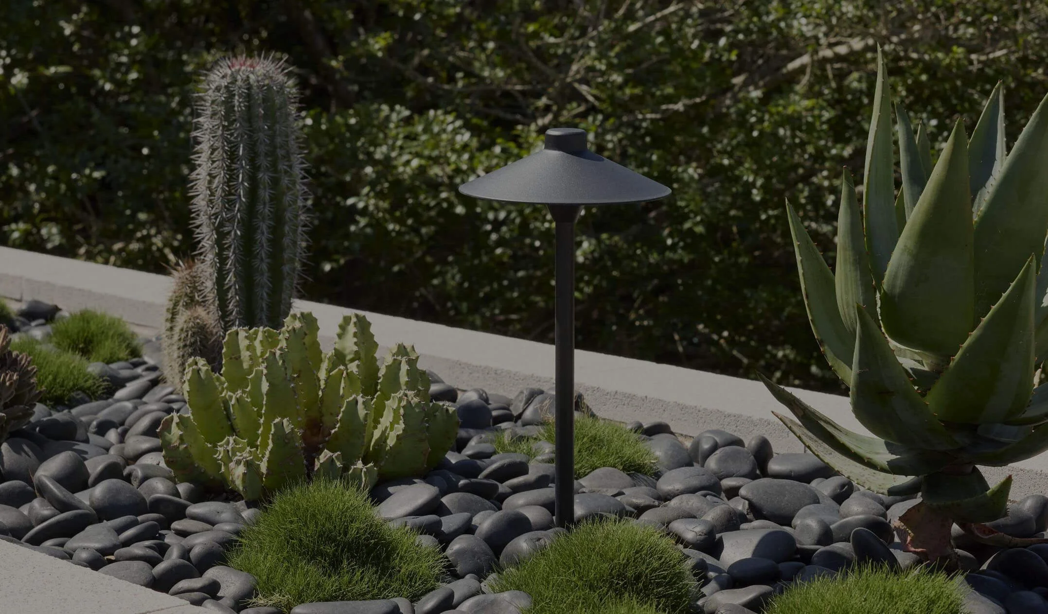 Desert garden featuring a tall cactus, spiky succulent, and round green plants with a small black outdoor lamp in the center, surrounded by smooth black stones and a white border.