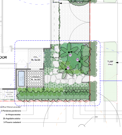 2D landscape plan for garden in Sydney