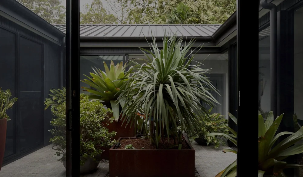 Cove Pools + Landscapes | Transform Your Outdoors Today
