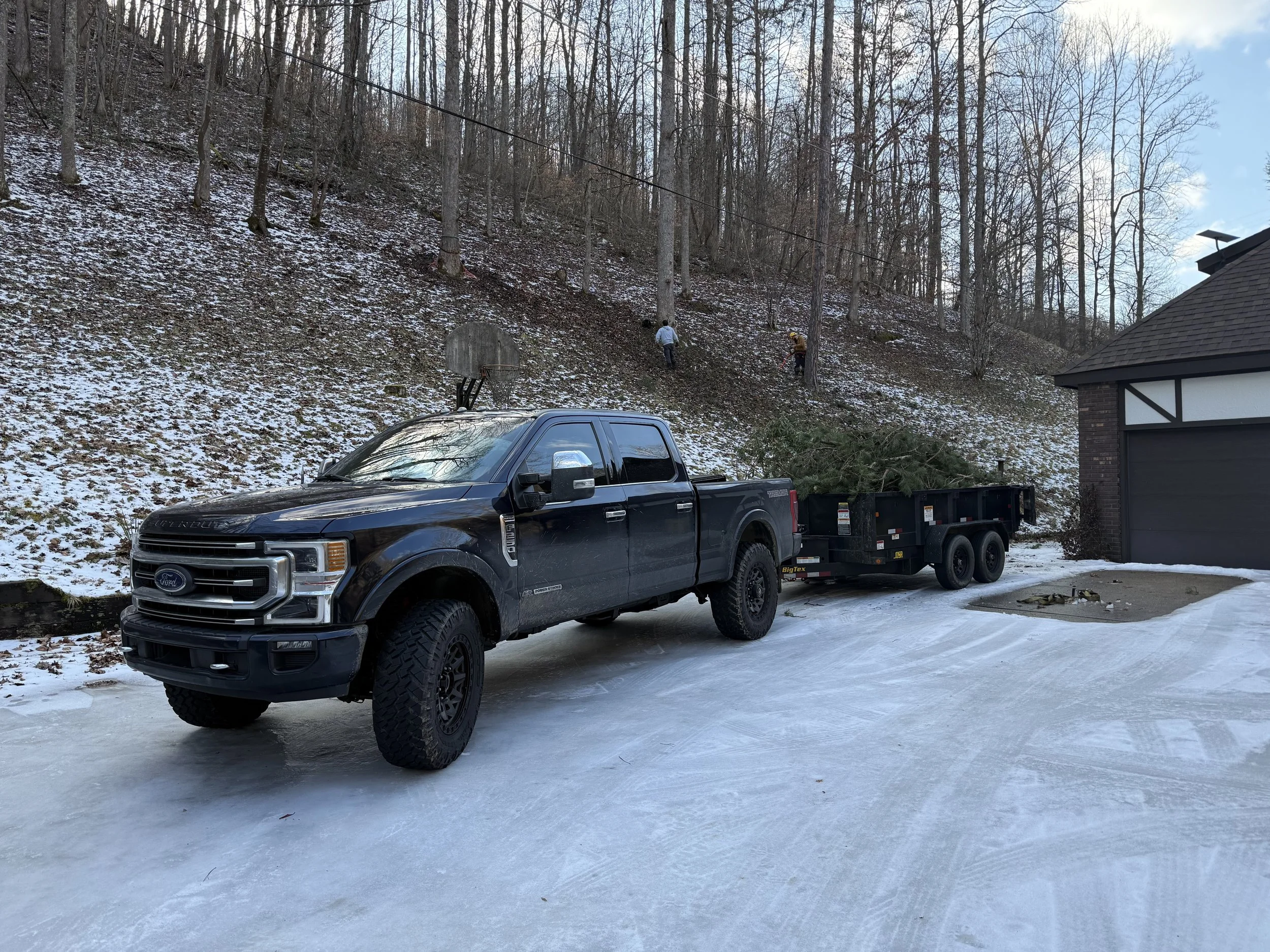 Debris Cleanup & Stump Removal