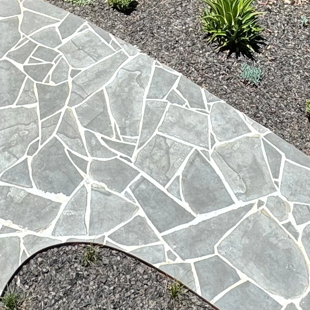 Close-up of a stone and concrete paved pathway with small garden plants and rocks nearby.