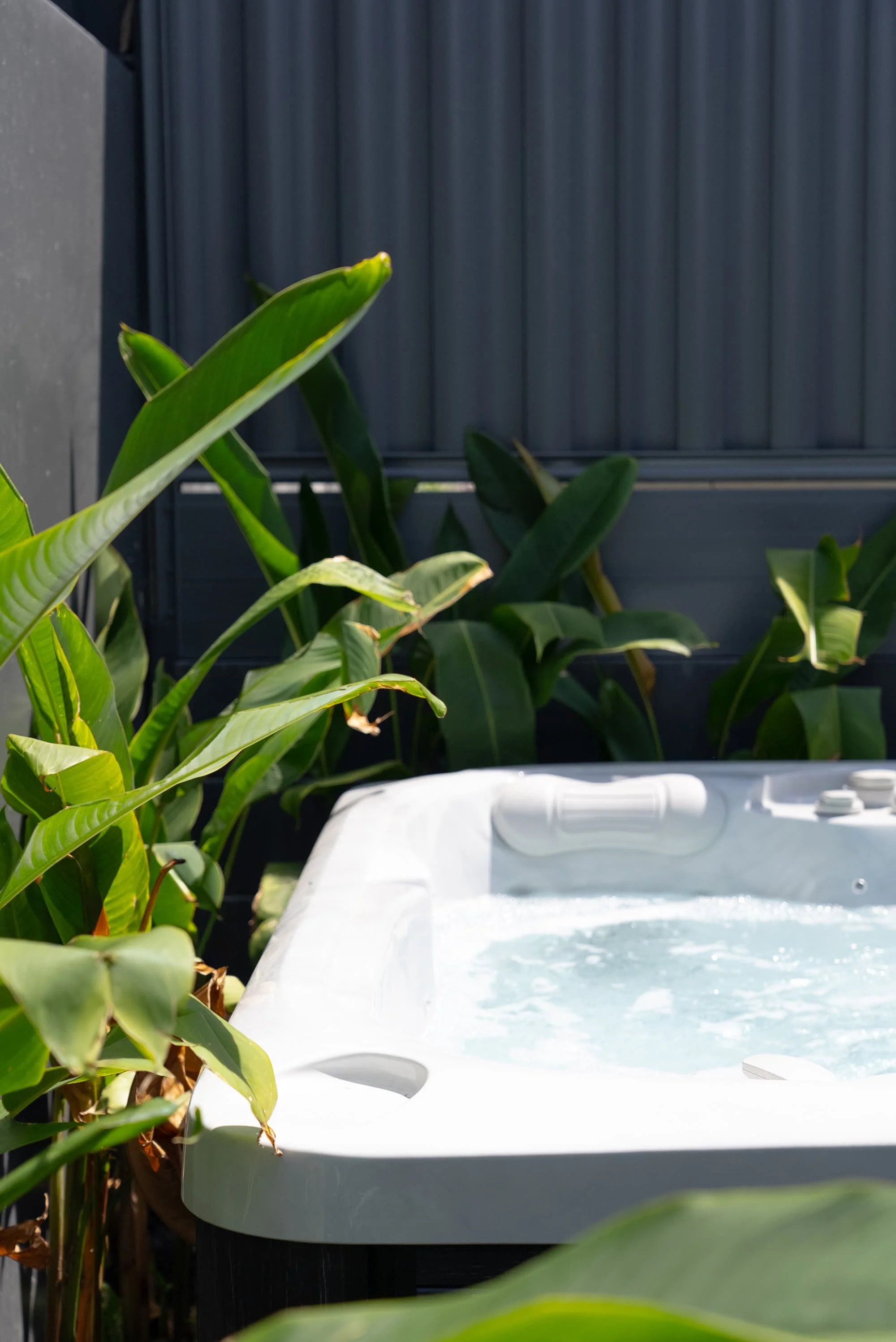 A white hot tub filled with bubbling water, surrounded by green tropical plants, with a dark gray wall and closed gray gate in the background.