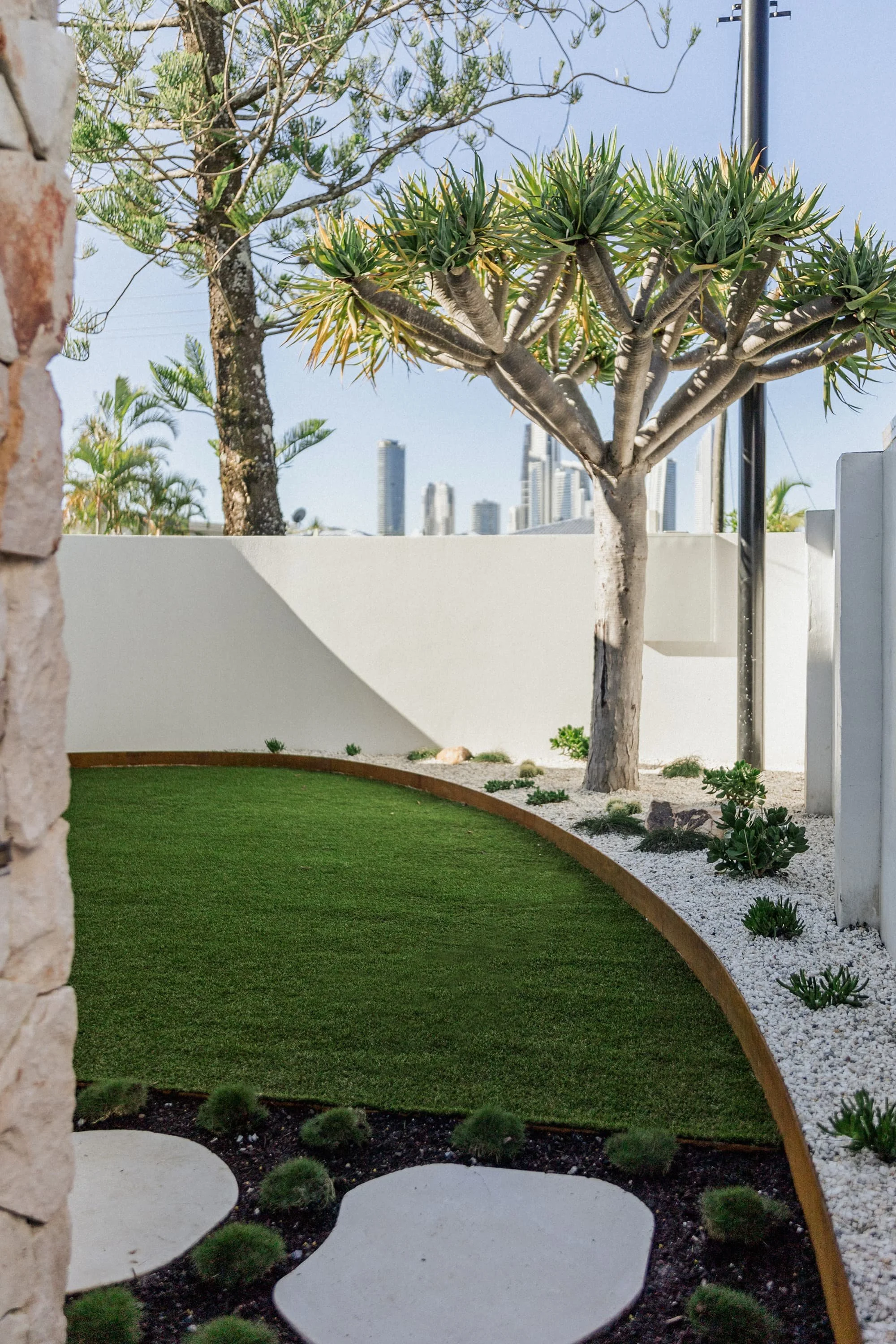 A small modern landscaped backyard with a curved grass lawn, white stepping stones, a border of white gravel with desert plants, and a large succulent tree, with a city skyline in the background.